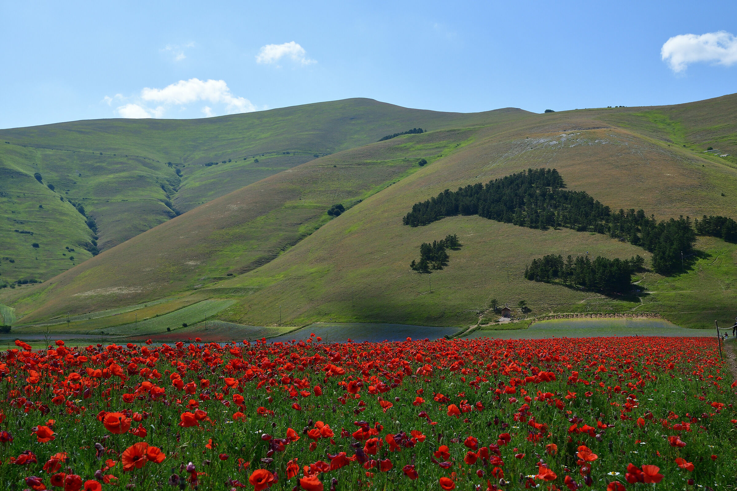 Castelluccio di Norcia