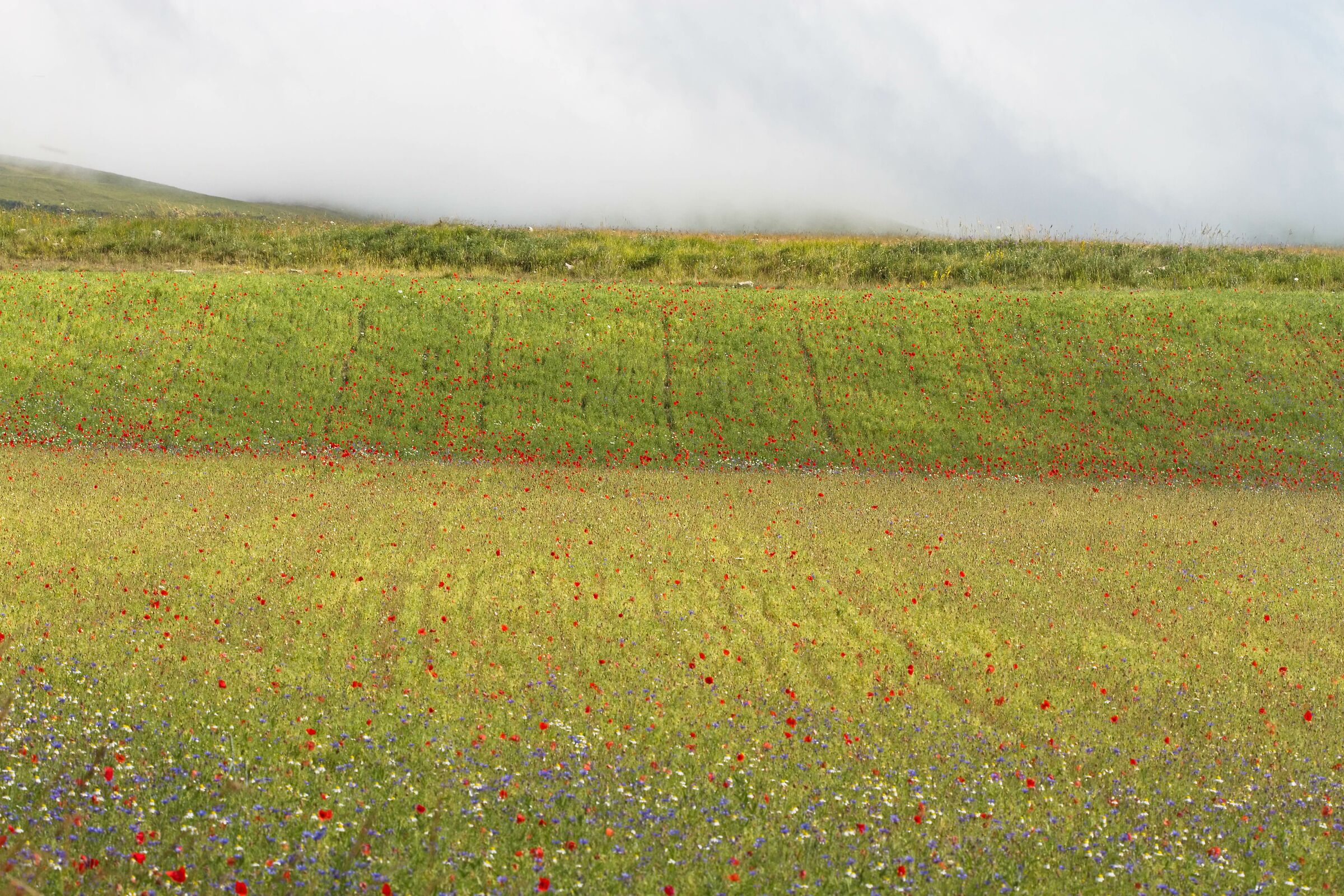 Castelluccio con nuvola