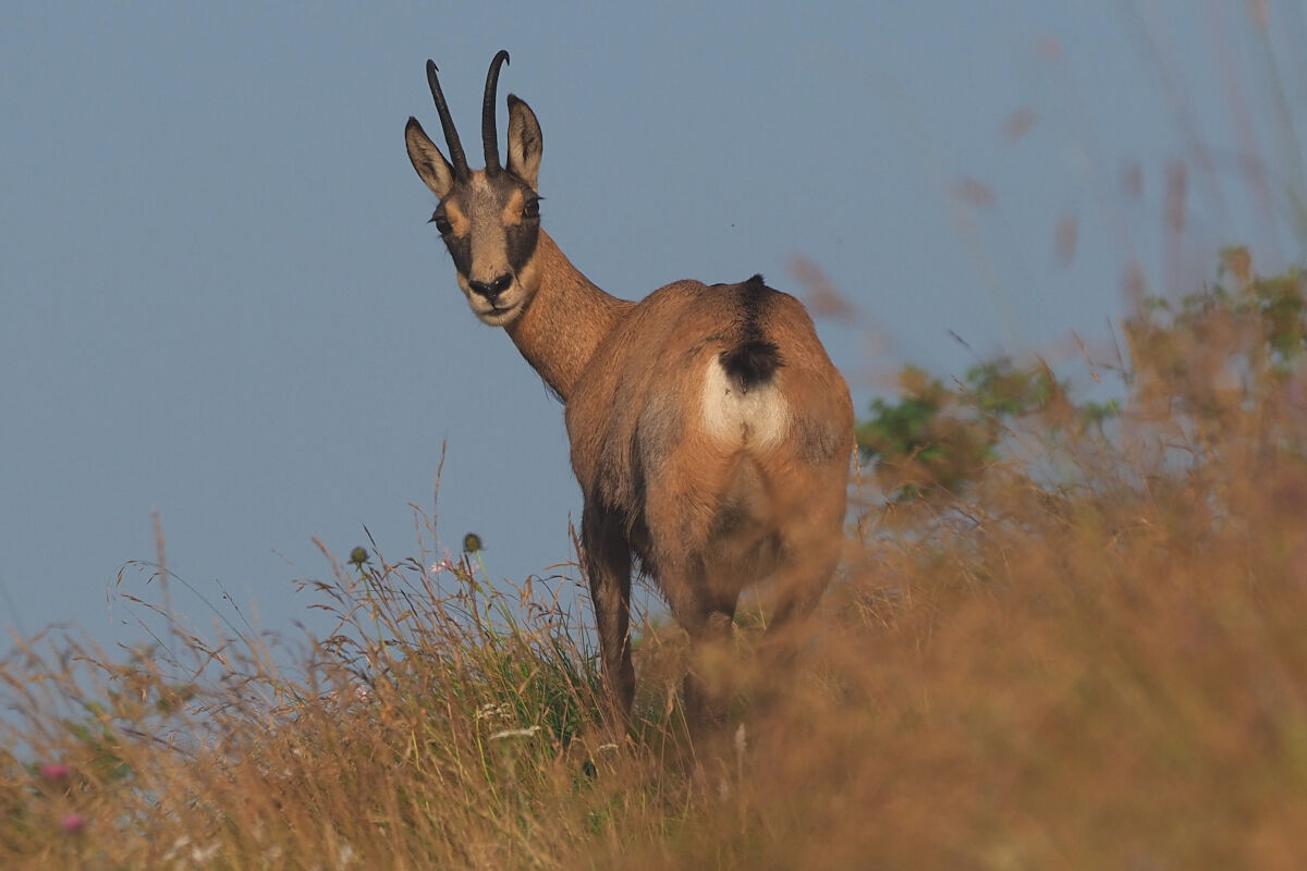 Quando meno te lo aspetti!!