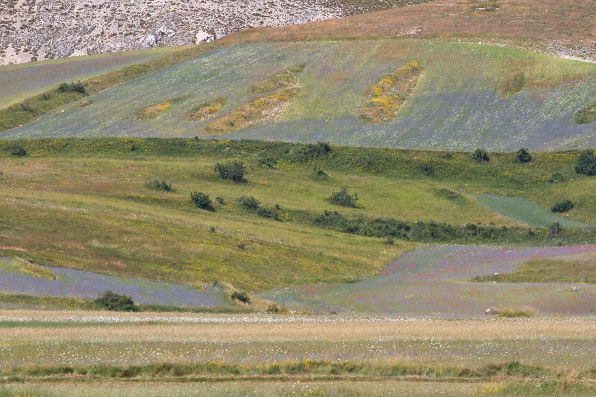 Castelluccio incroci