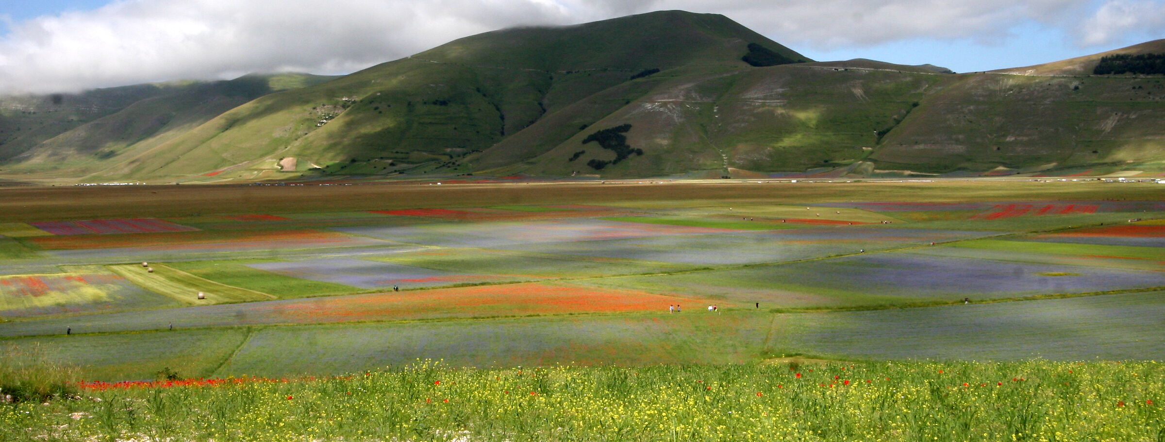 0804 - Castelluccio di Norcia