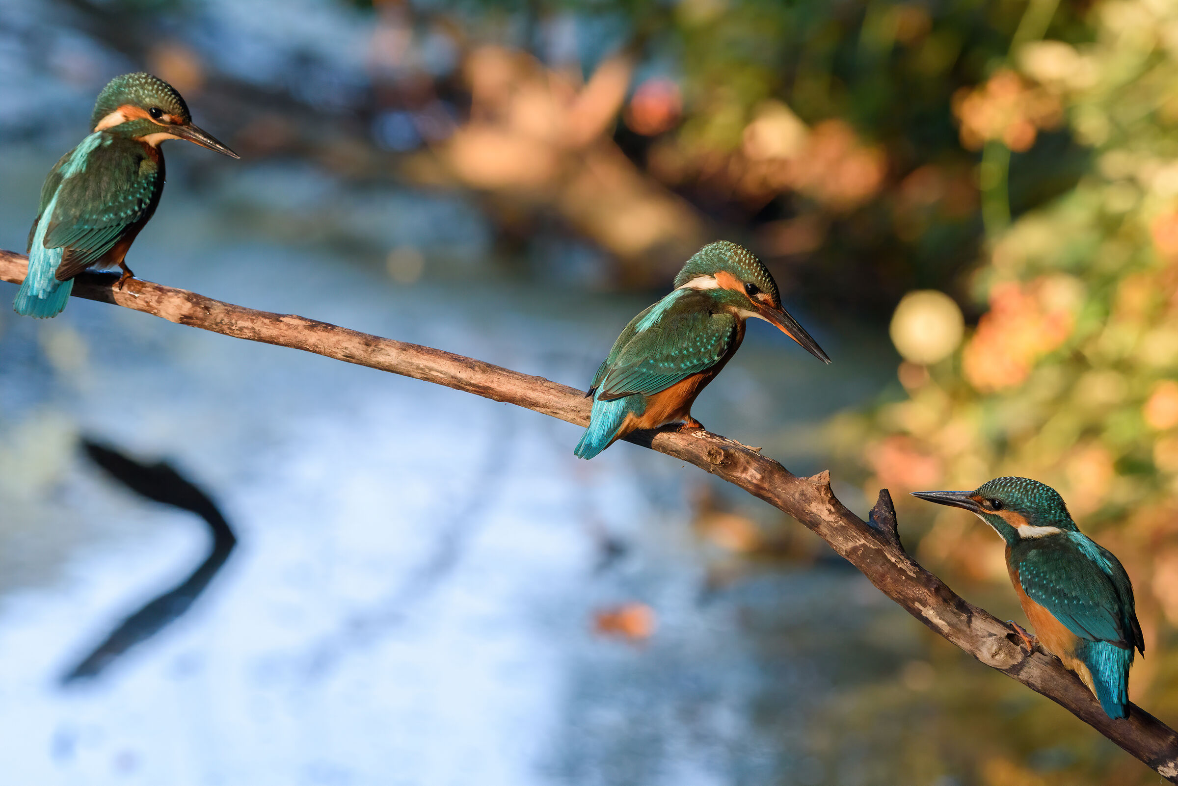 3 is meglio che Uno ...