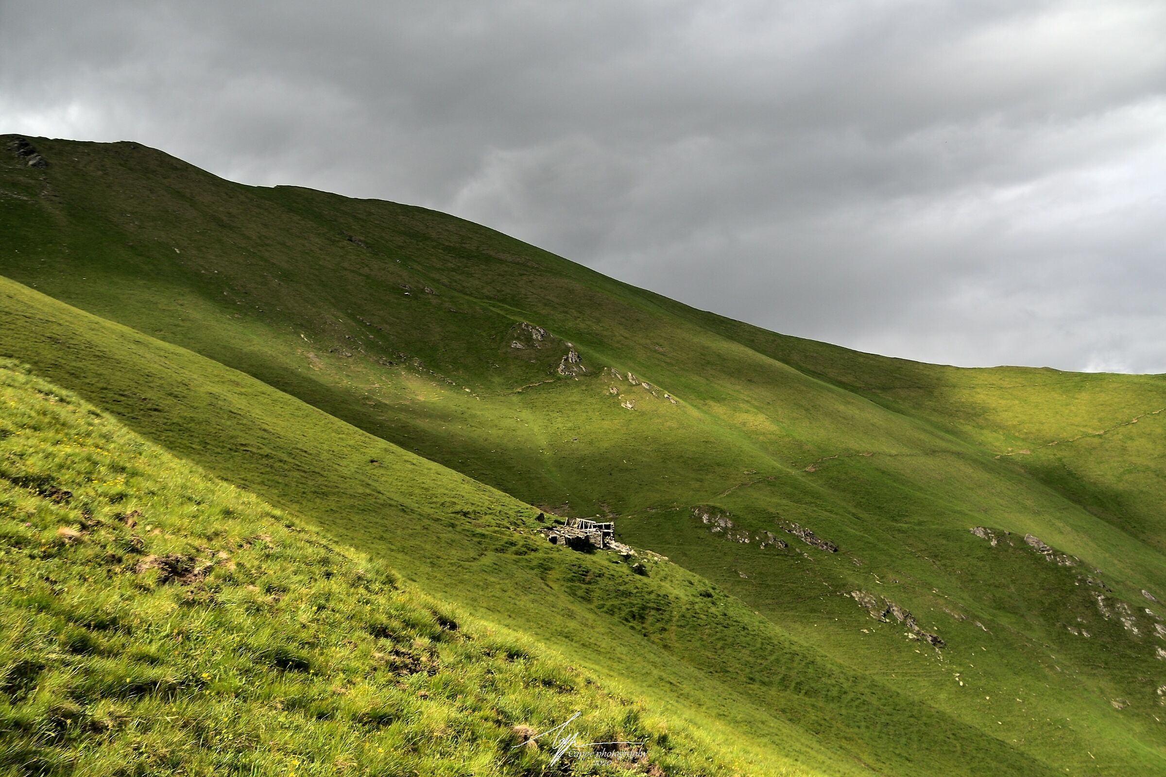 The kind of photos I love (Part 2)