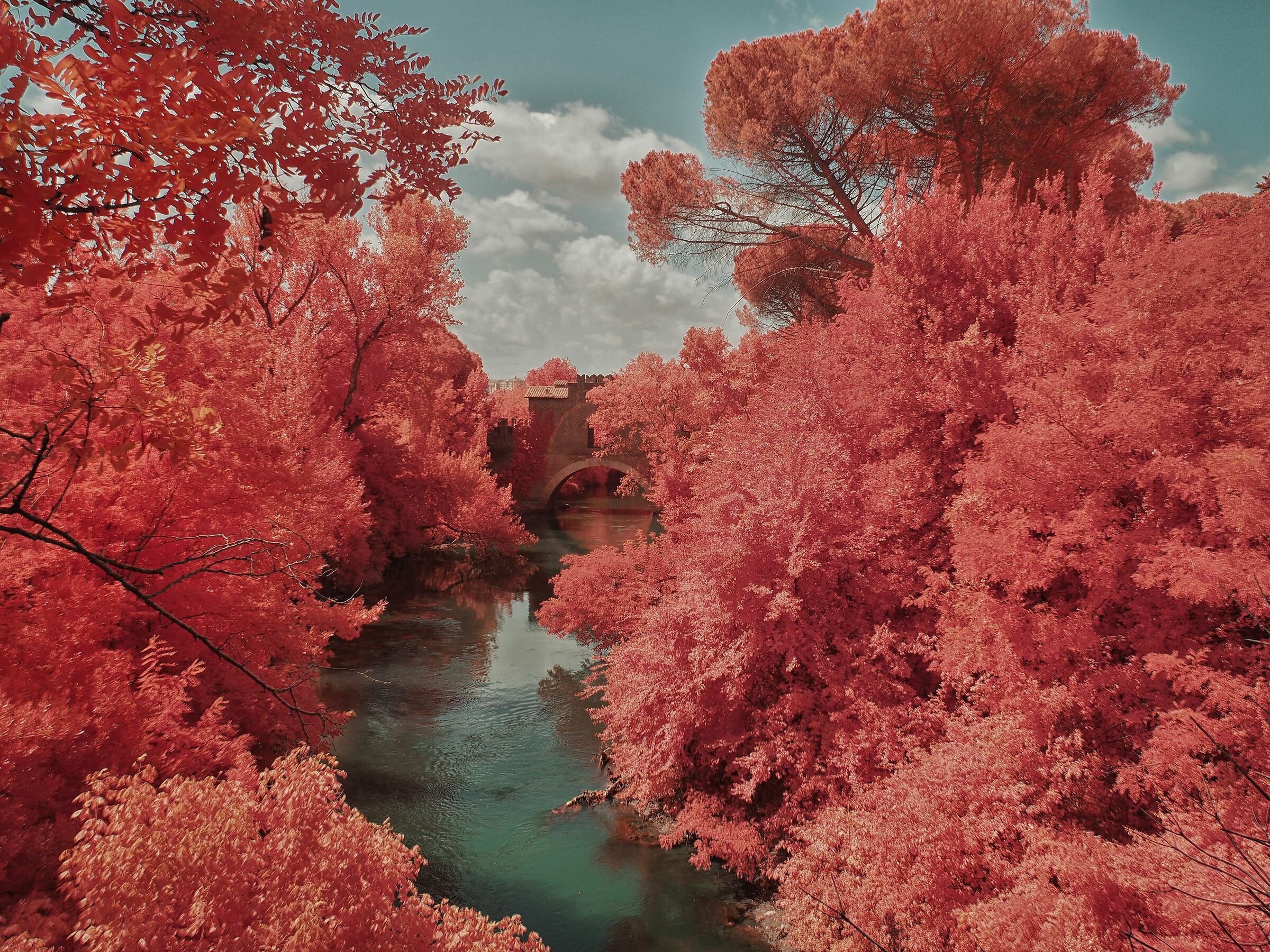 Ponte Tazio (Roma) - Gassato