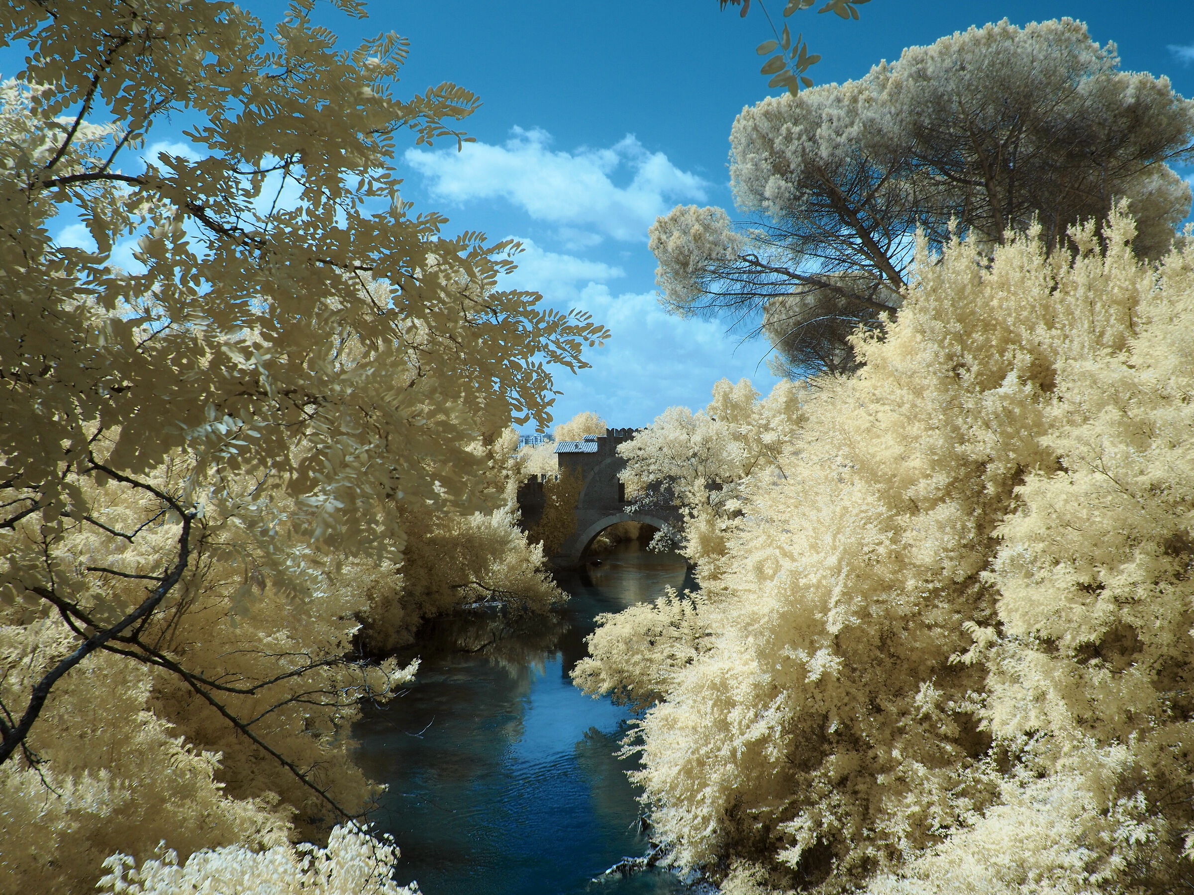Ponte Tazio (Roma) - Ferrarelle