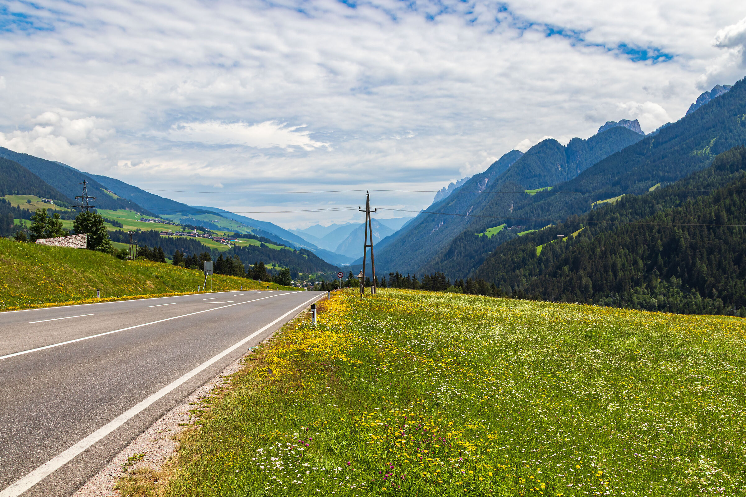 Flower meadows towards Lienz