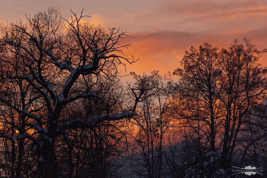 while everything flows