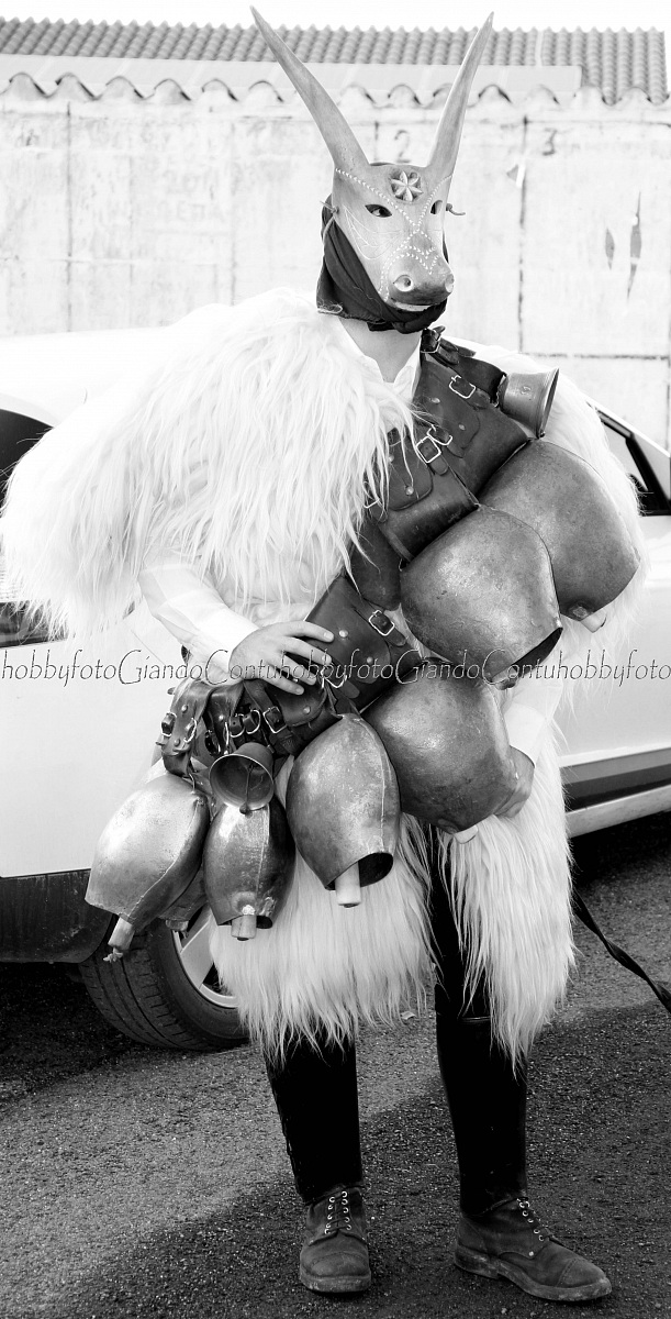 Boes and merdules de Ottana