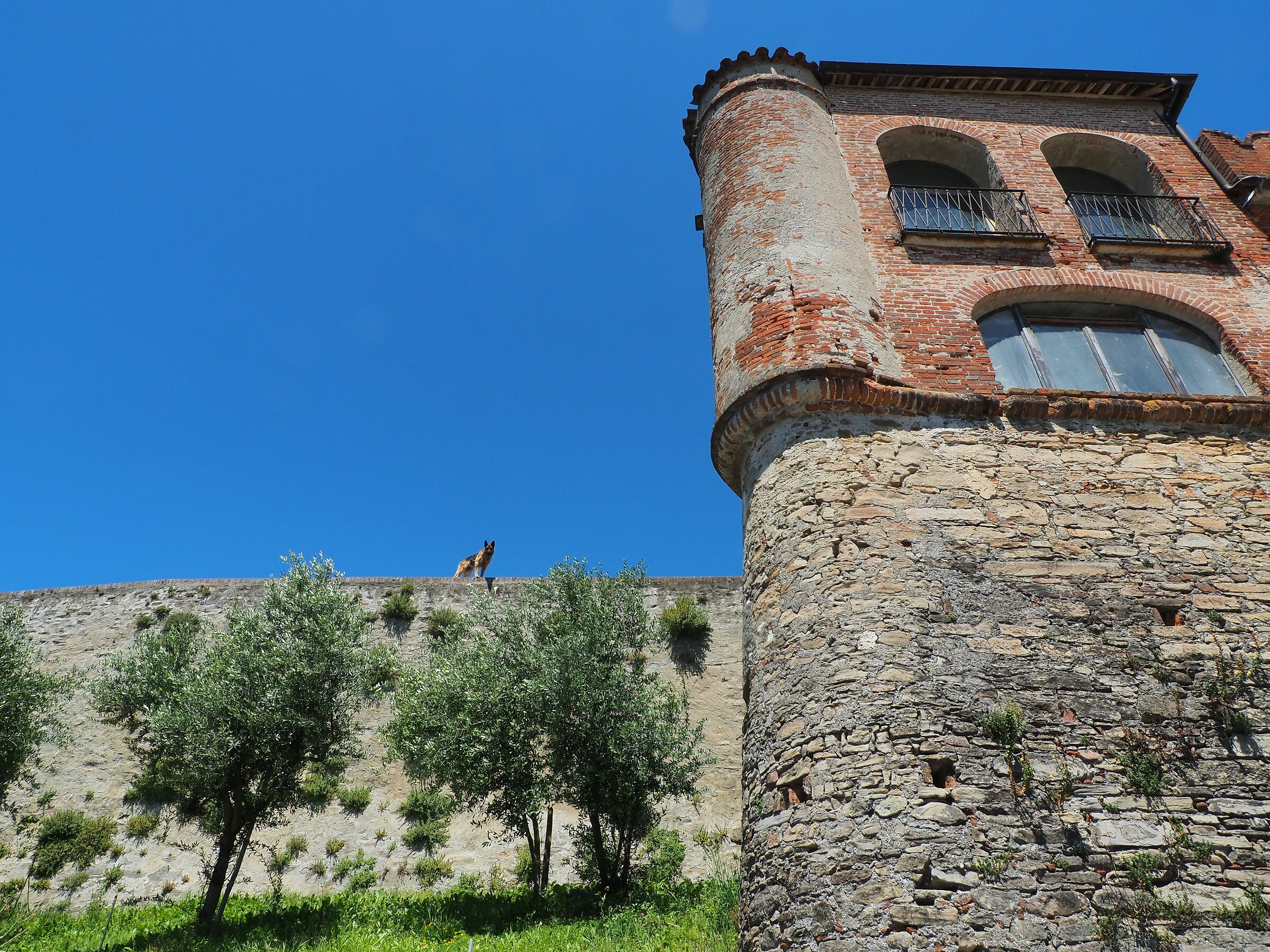 The guard of the castle of Aglie cn
