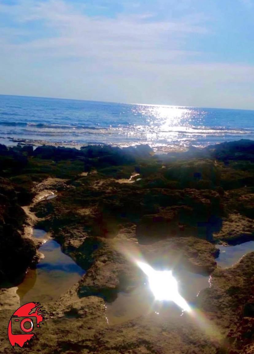 Sea