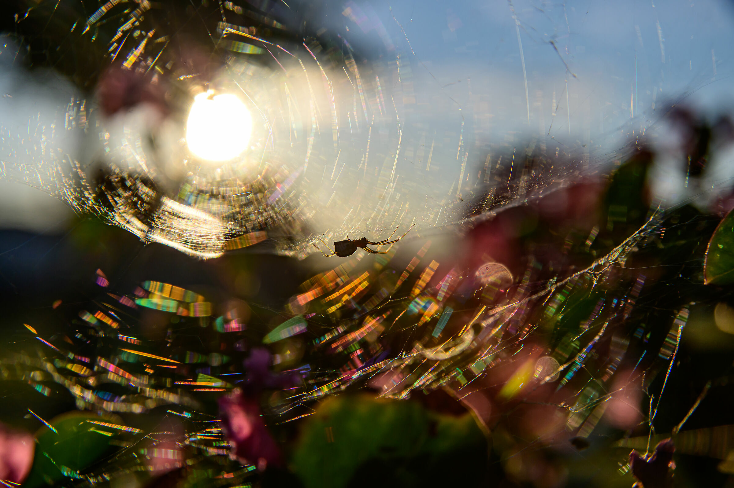 La luce scomposta....