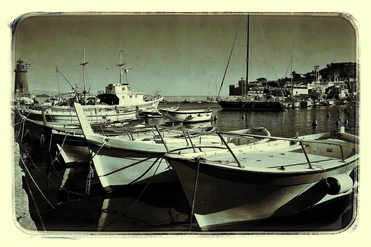 Giglio Porto... oltre la Concodia