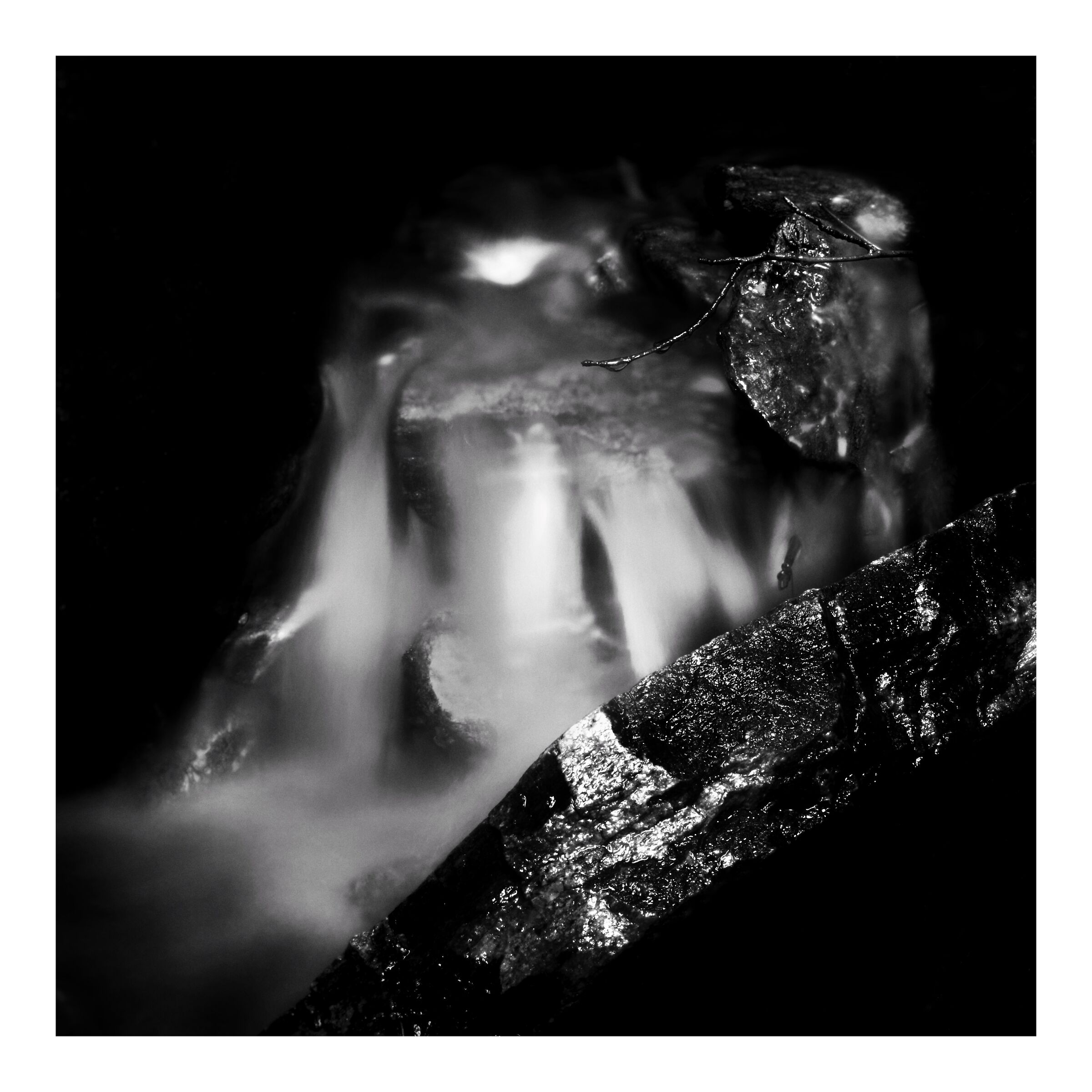Untitled Photo