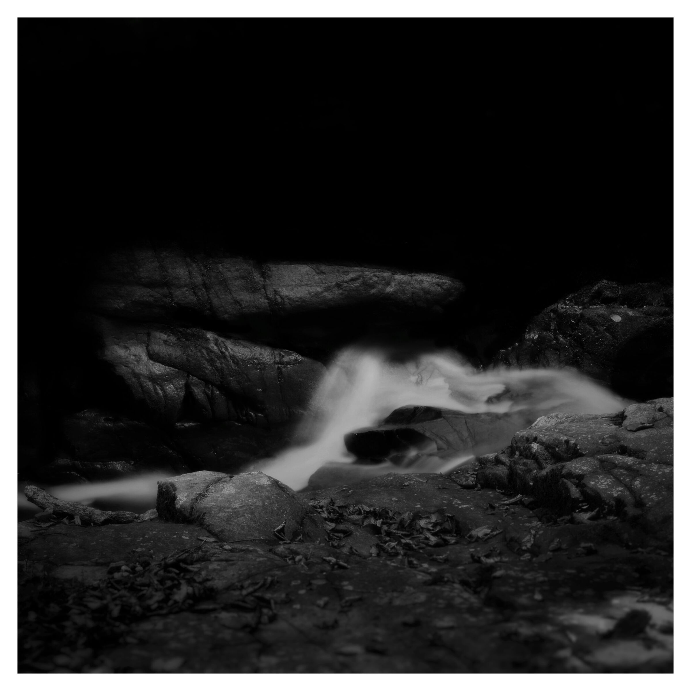 Untitled Photo