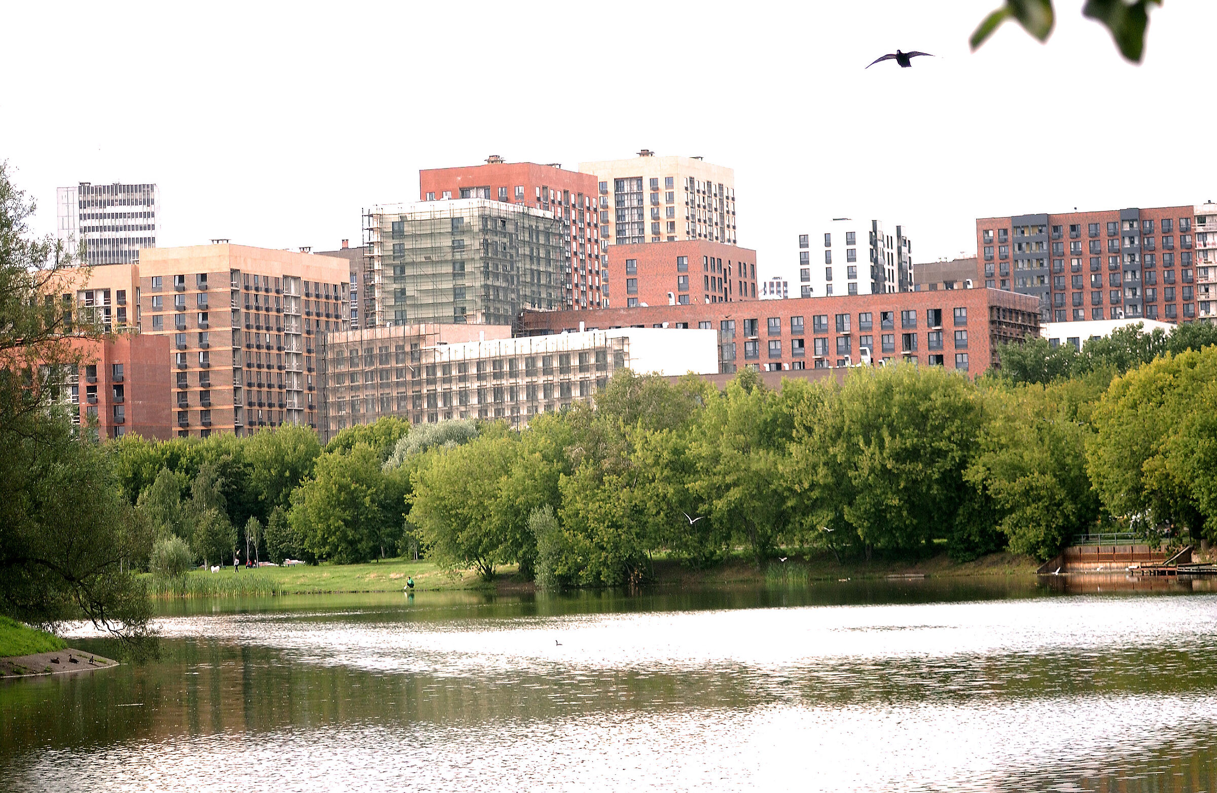 Da qualche parte nel tempo