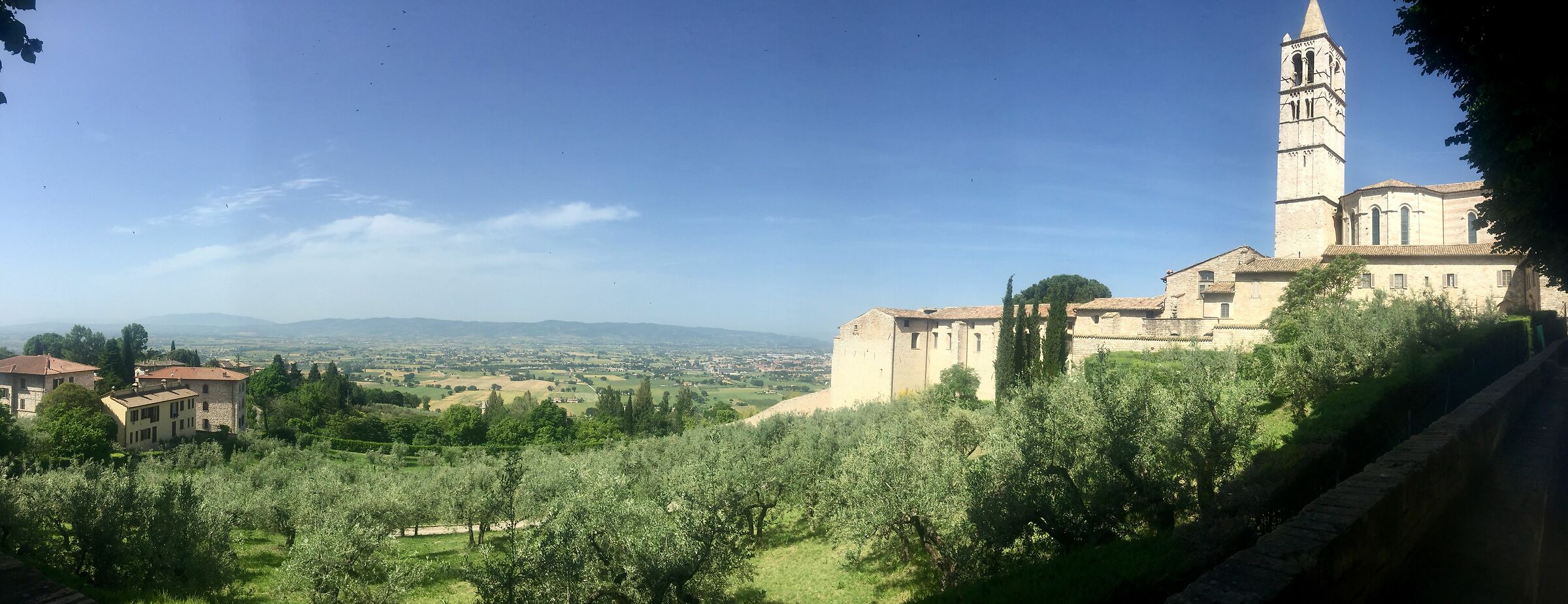 Assisi