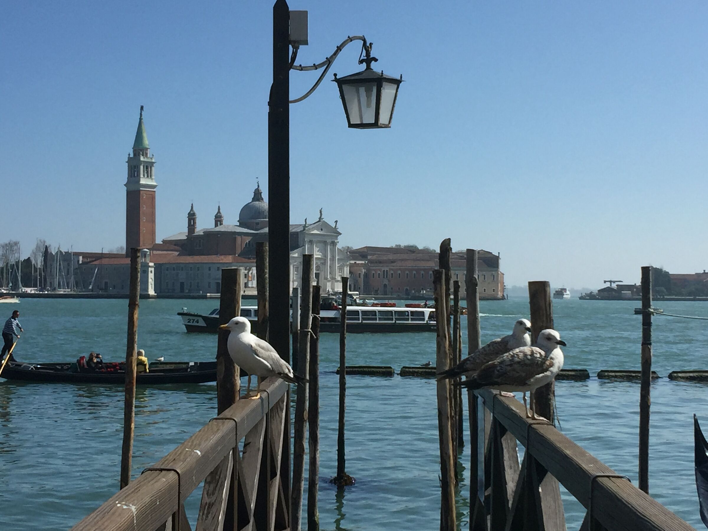The "guardians" of Venice