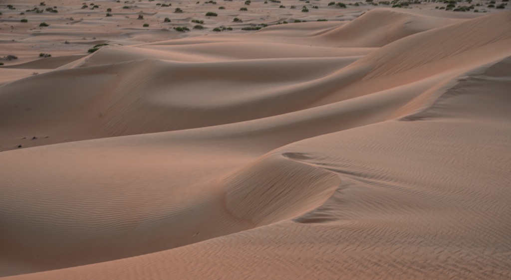 Desert Tutto intorno