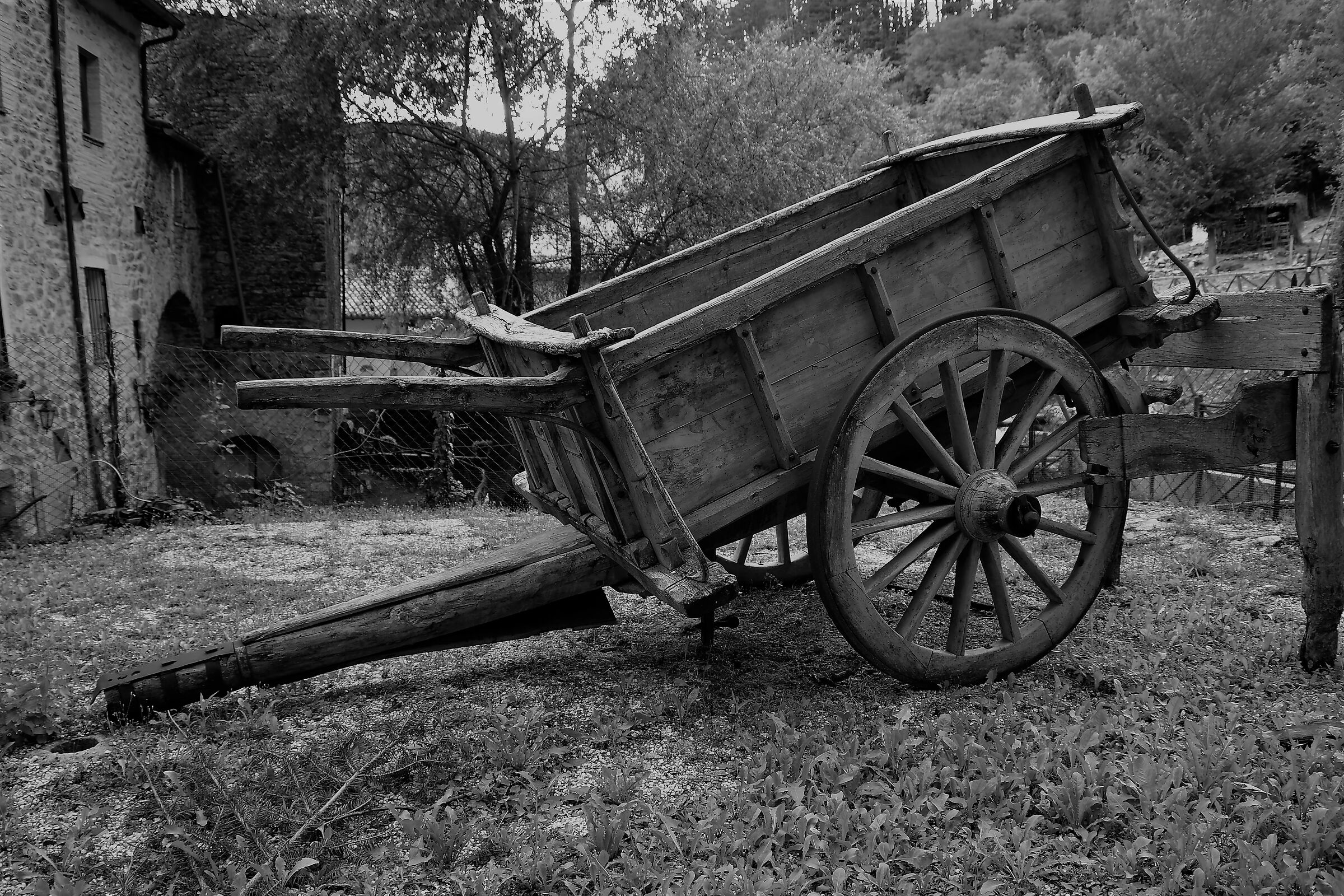 ......... Perfume of Ancient