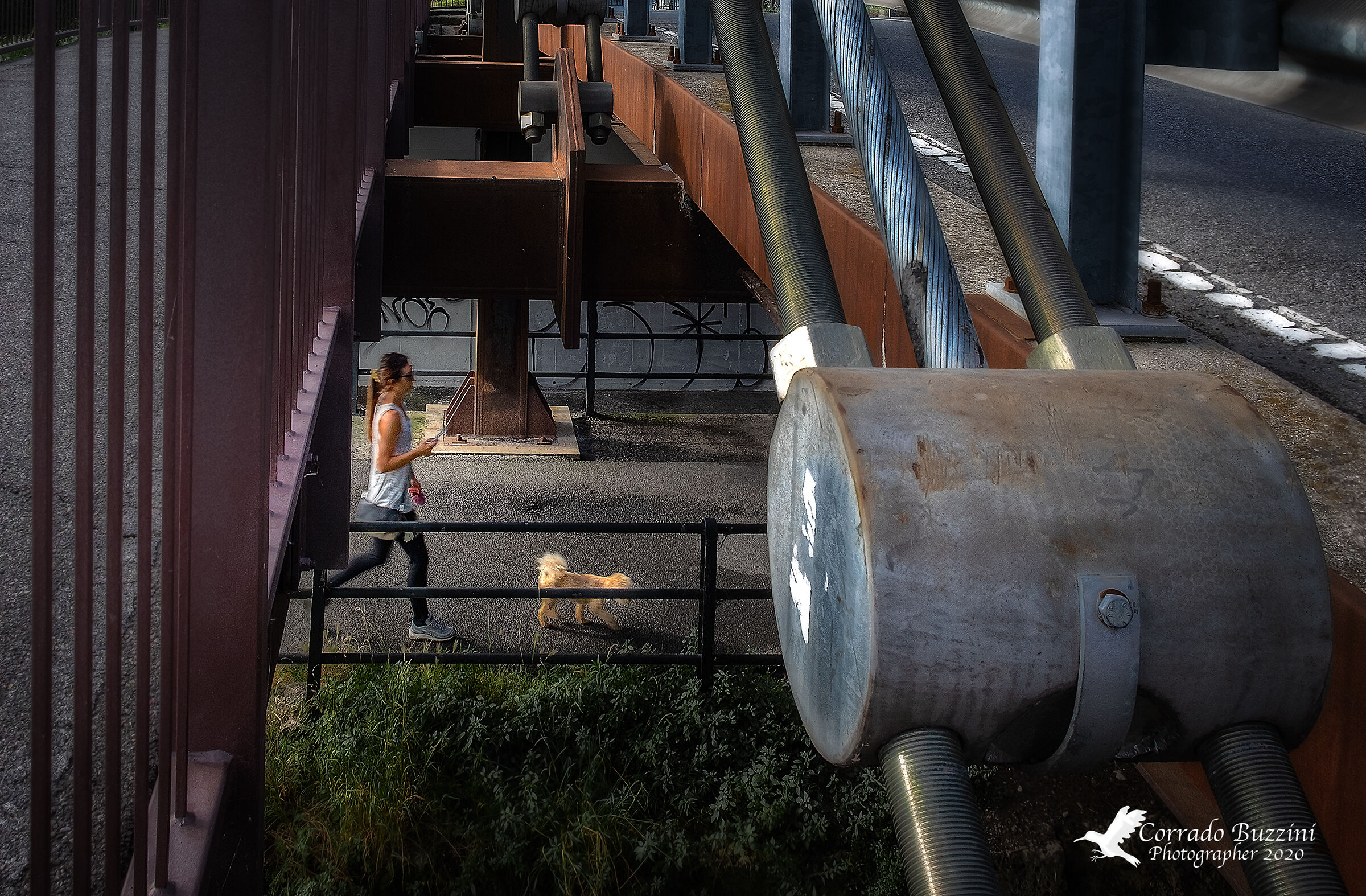 a spasso con il cane