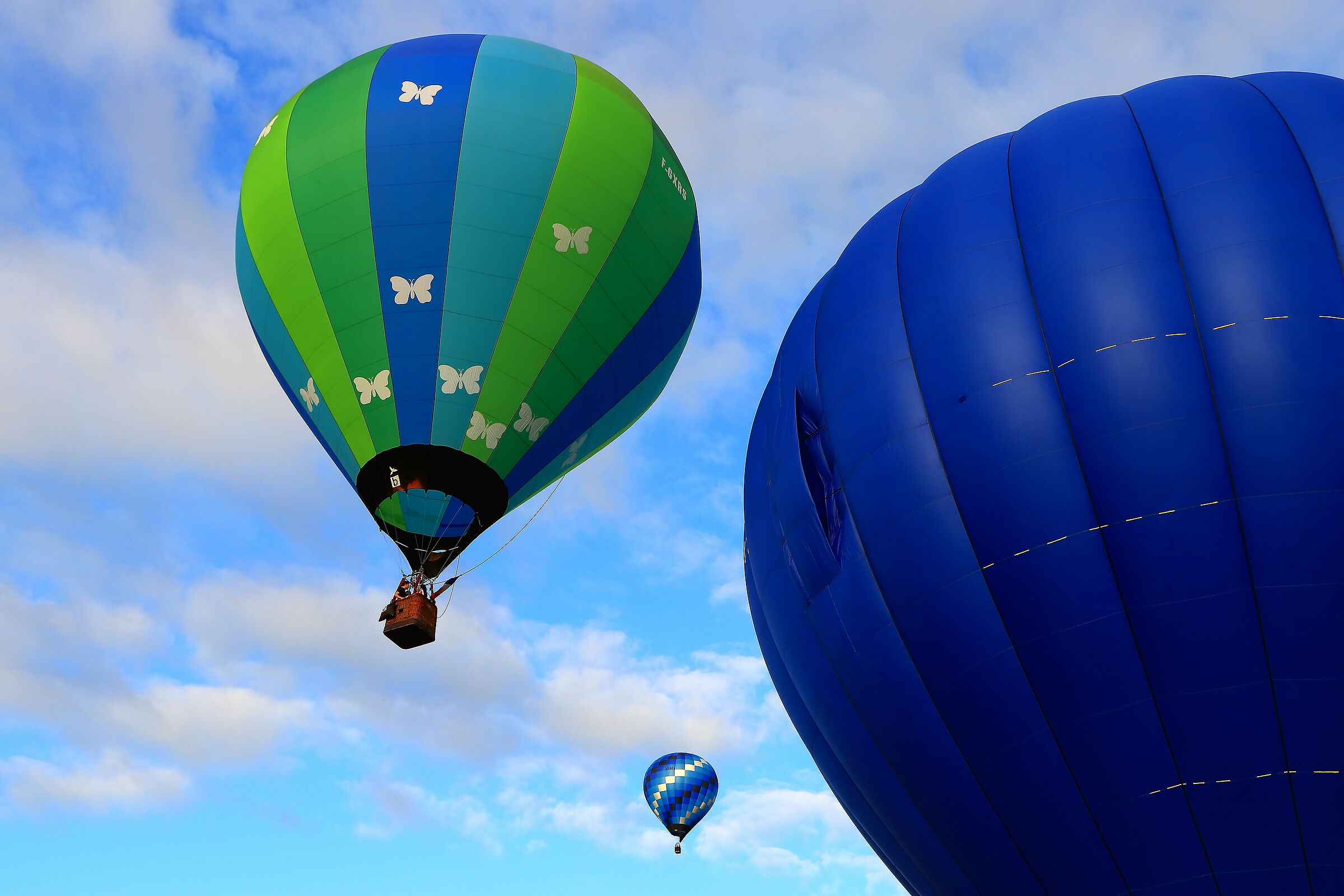 In volo come... farfalle