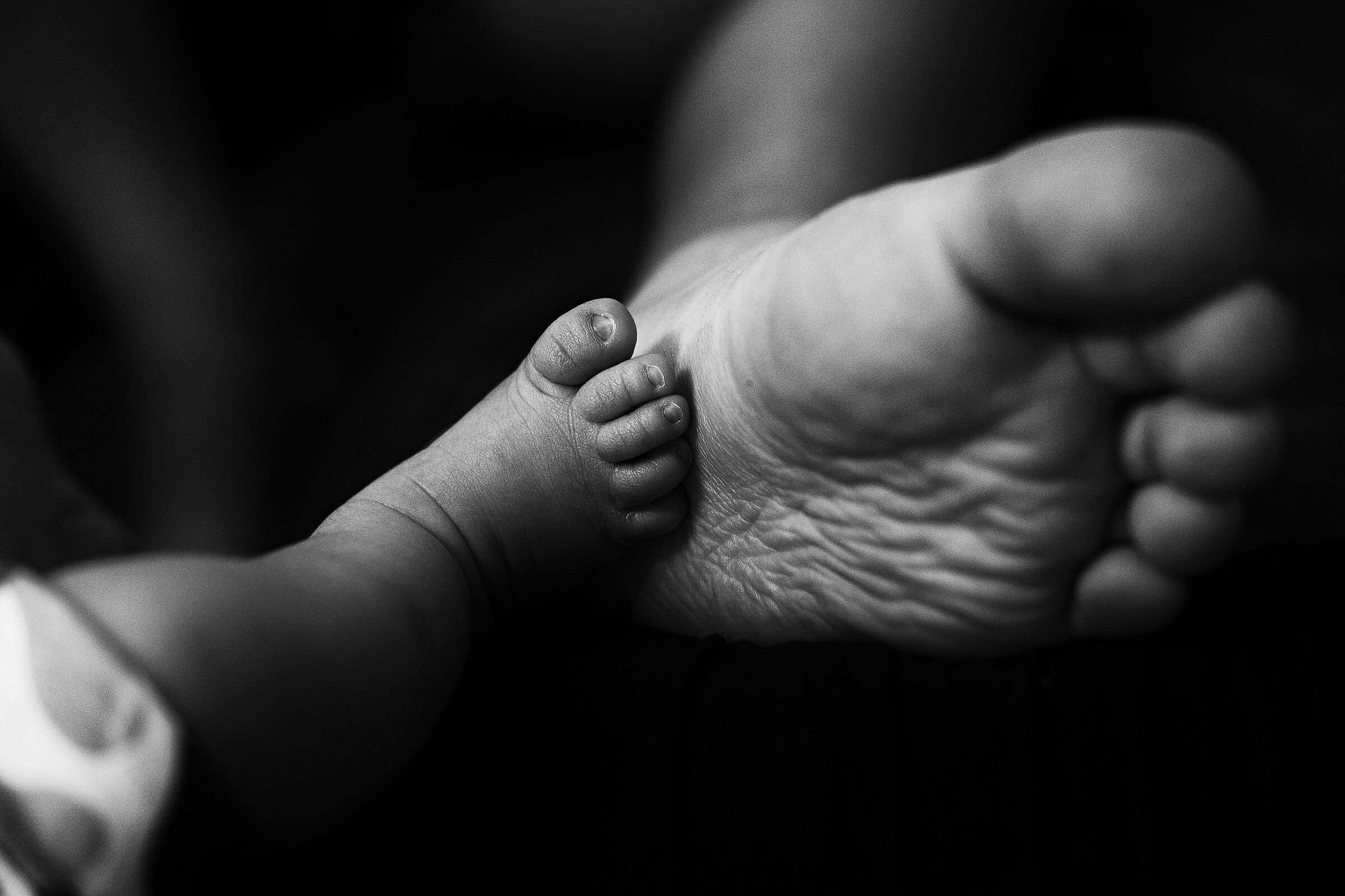 Le impronte del tempo