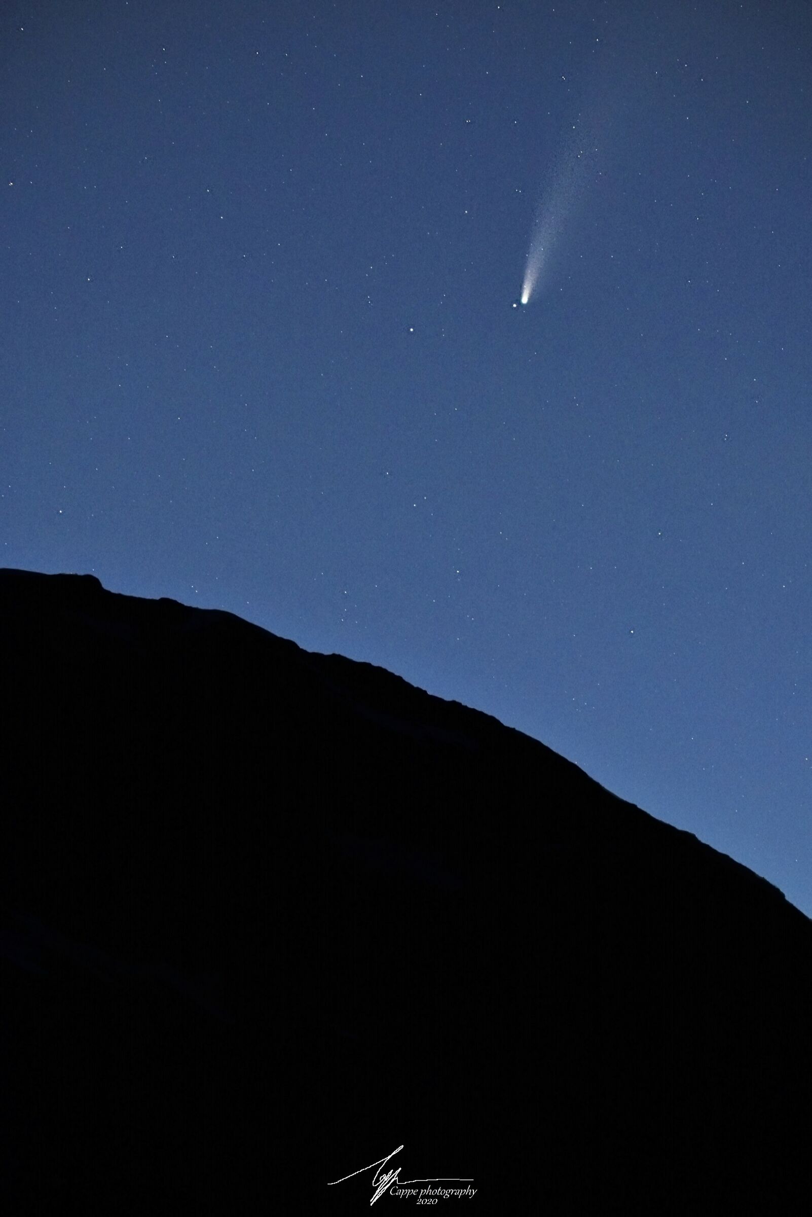 C/2020 F3 Neowise, the first encounter with the comet