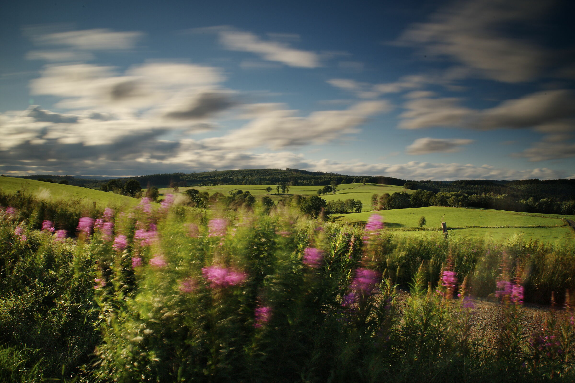 moving sky