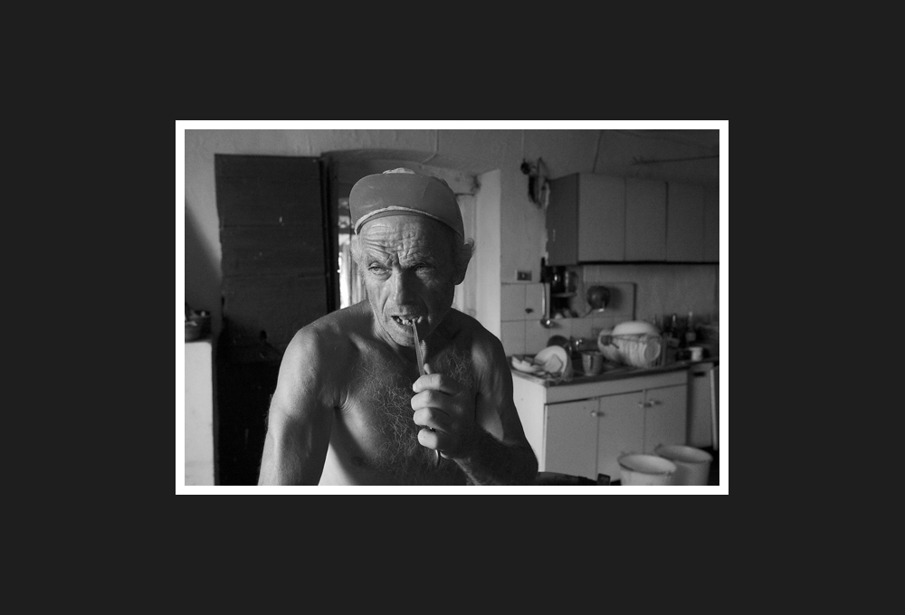 Molisano shepherd, 2009