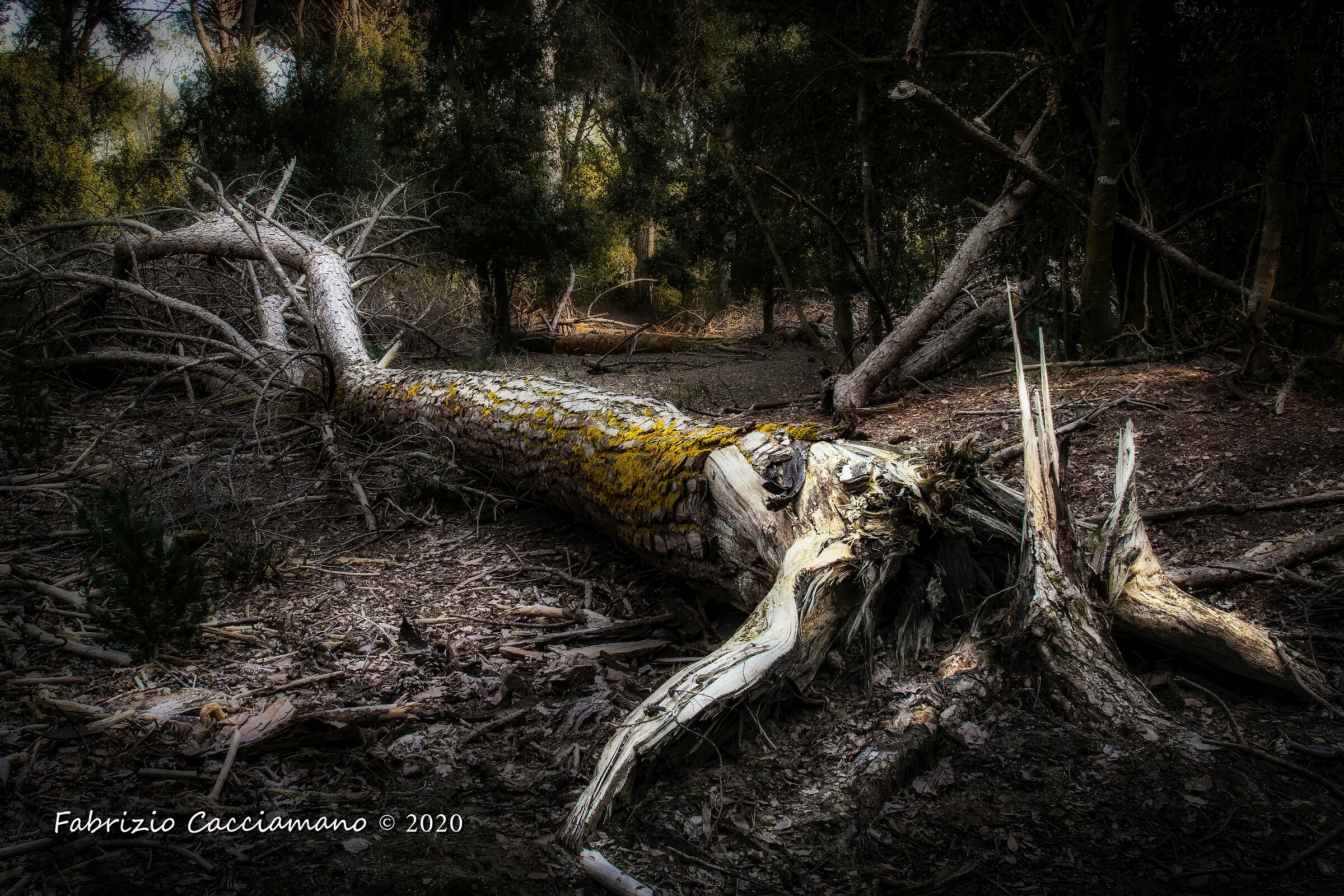 Sdraiato come una bella donna a prendere il sole