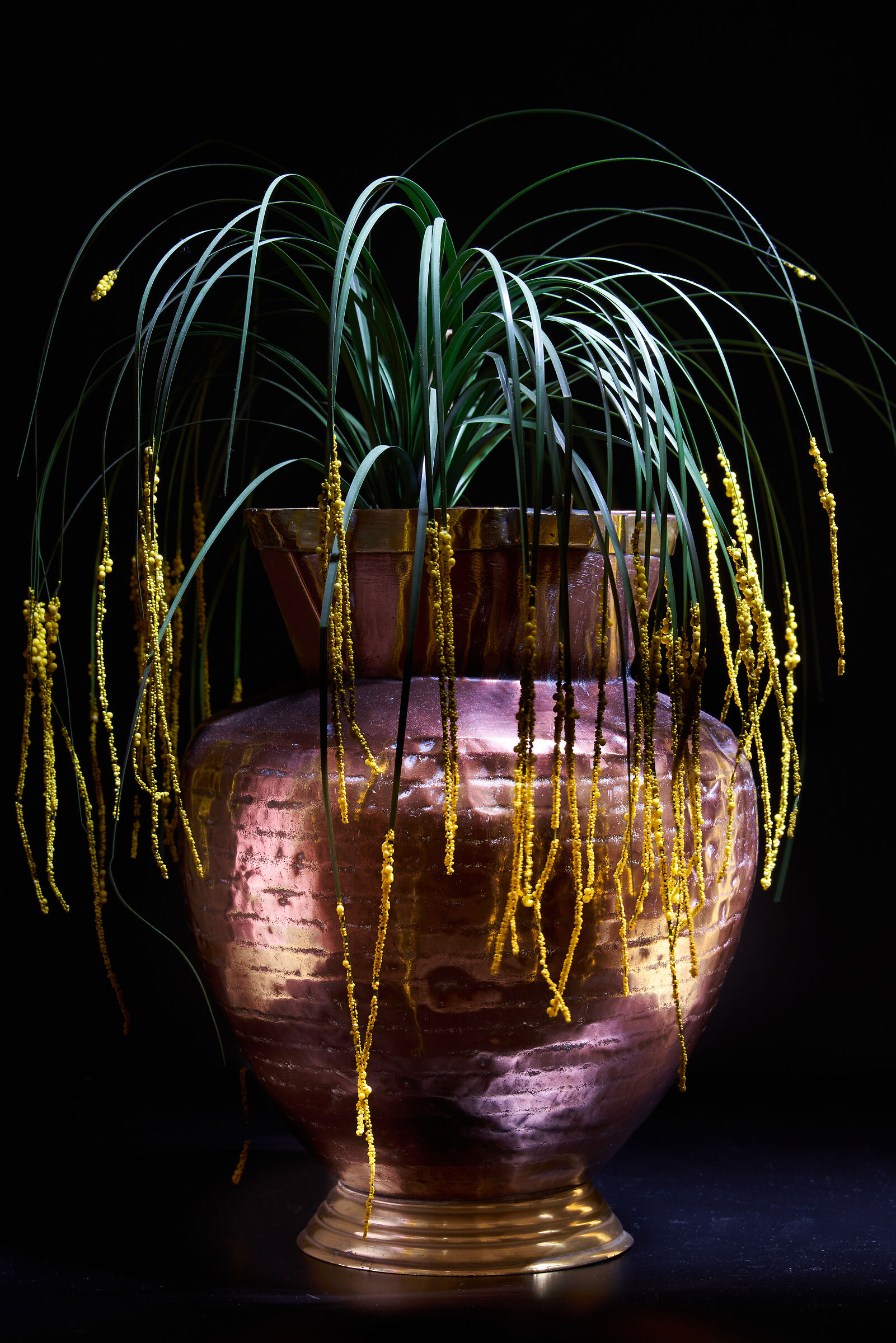 Flower pot (light painting technique)