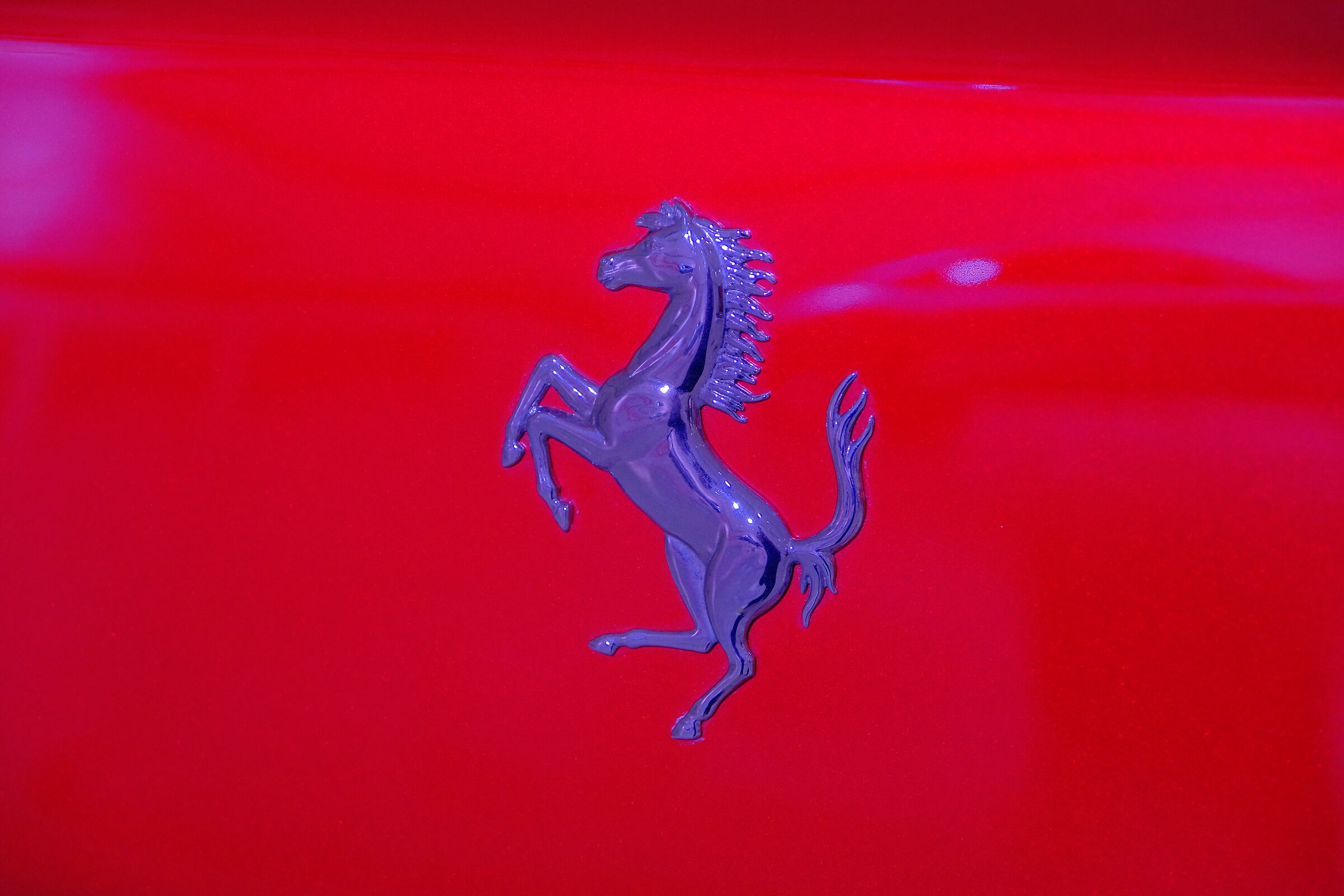 Passione per il Cavallino