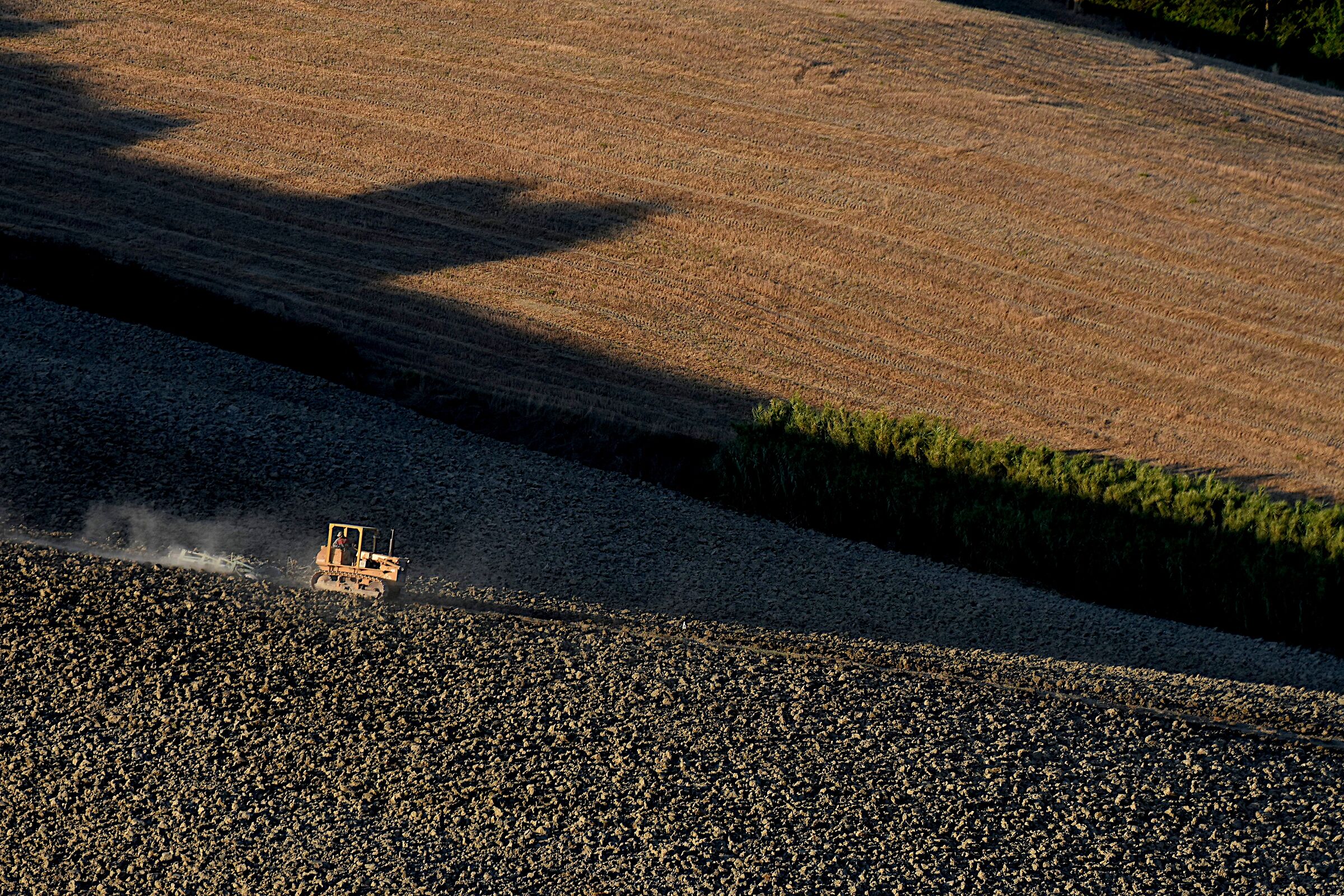 L'incisore al lavoro