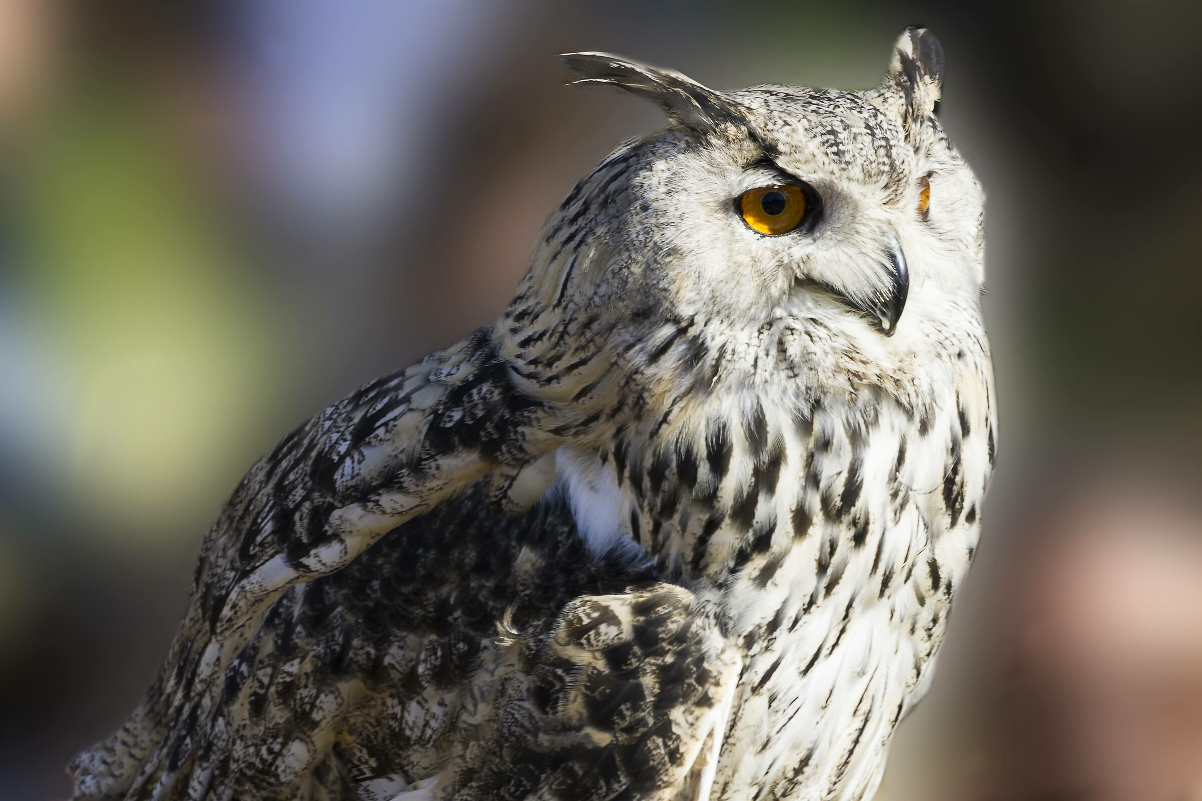 They're watching us....