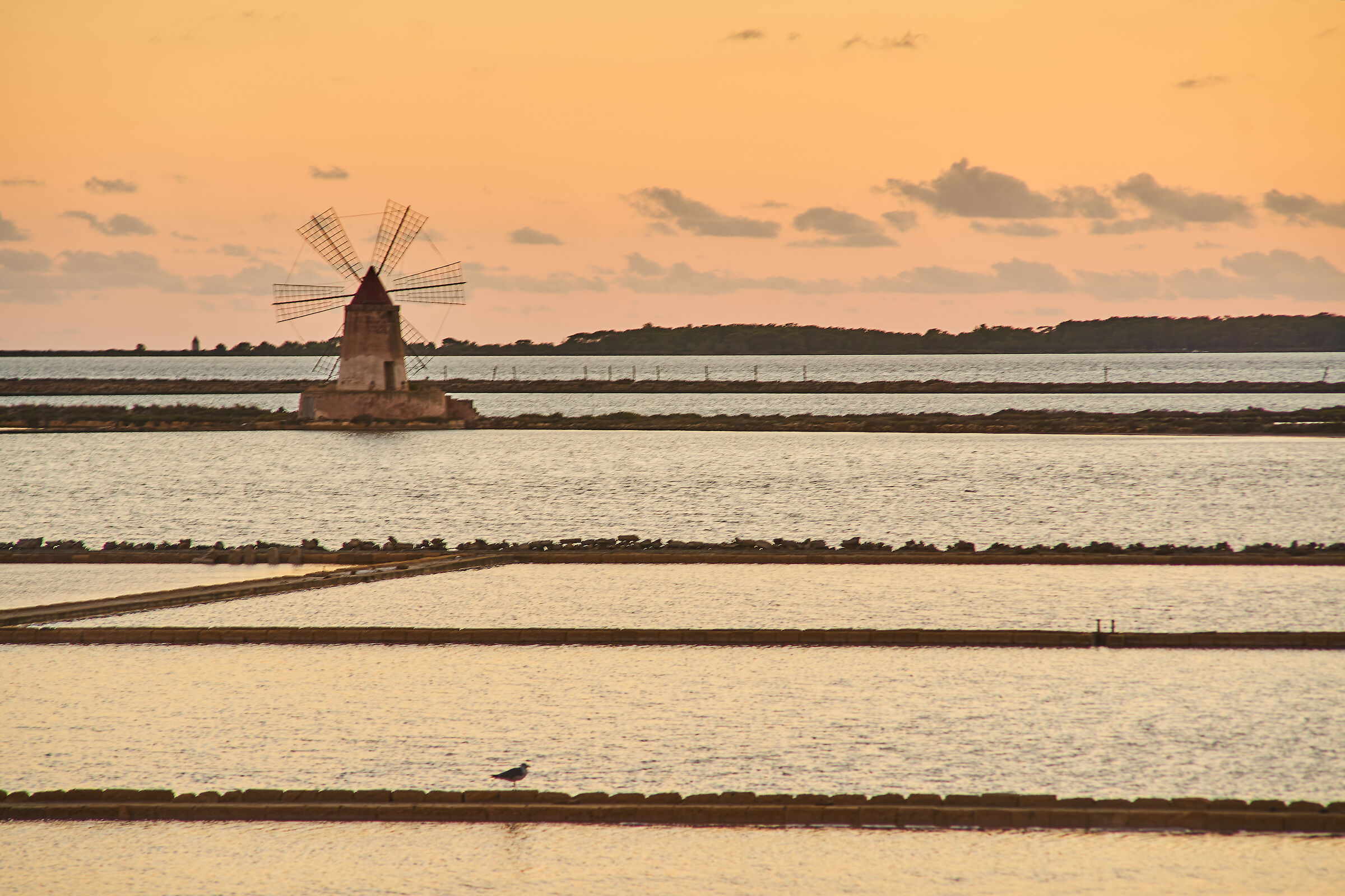 Ammirando il tramonto in compagnia