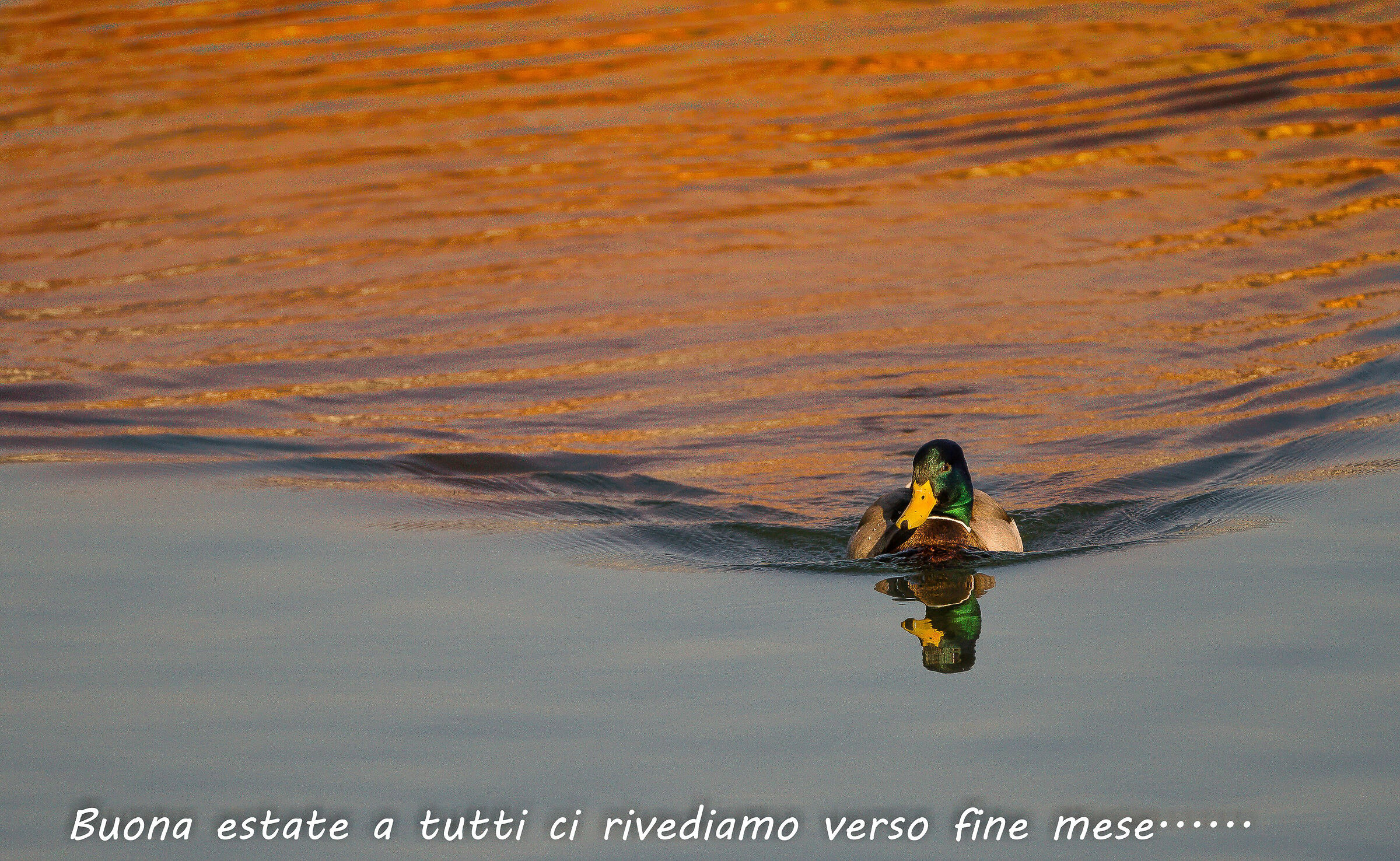 leaving the sunset behind......