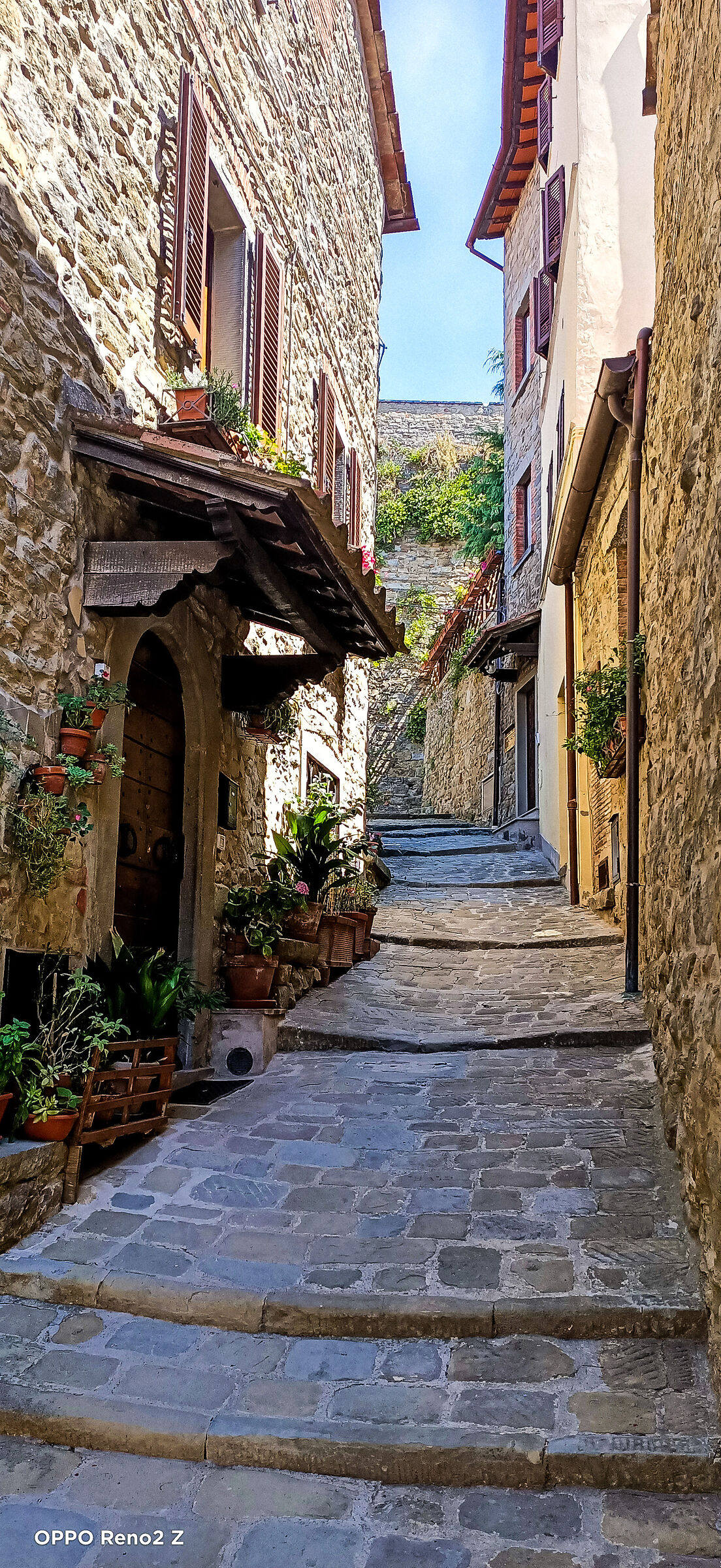 Cortona