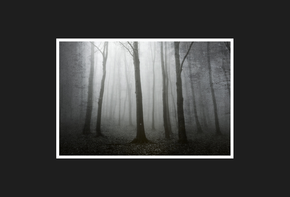 Nature Gardens, 2013