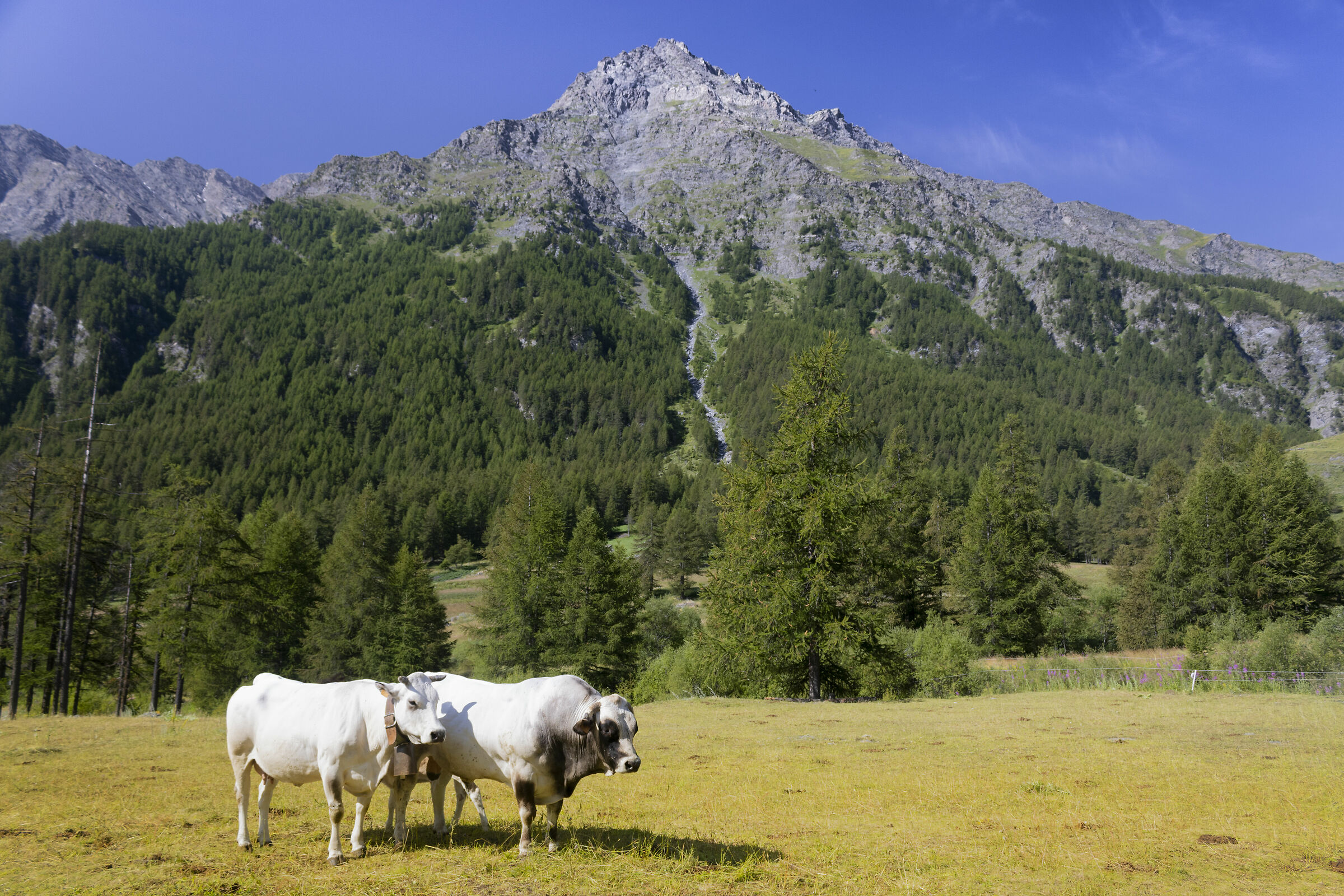 Varaita Valley