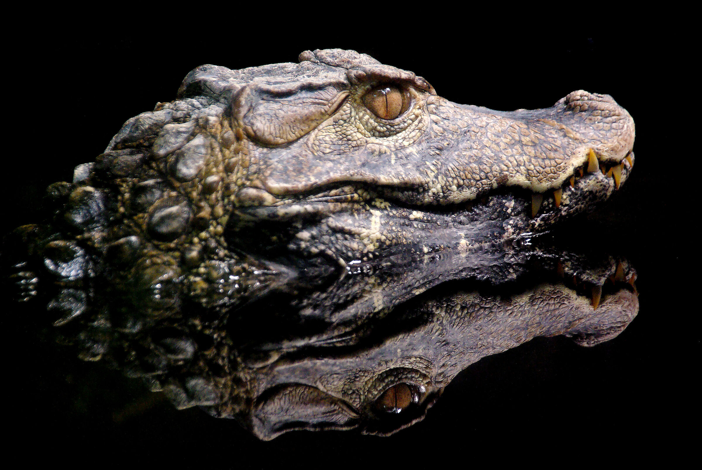 Niente paura, è solo uno