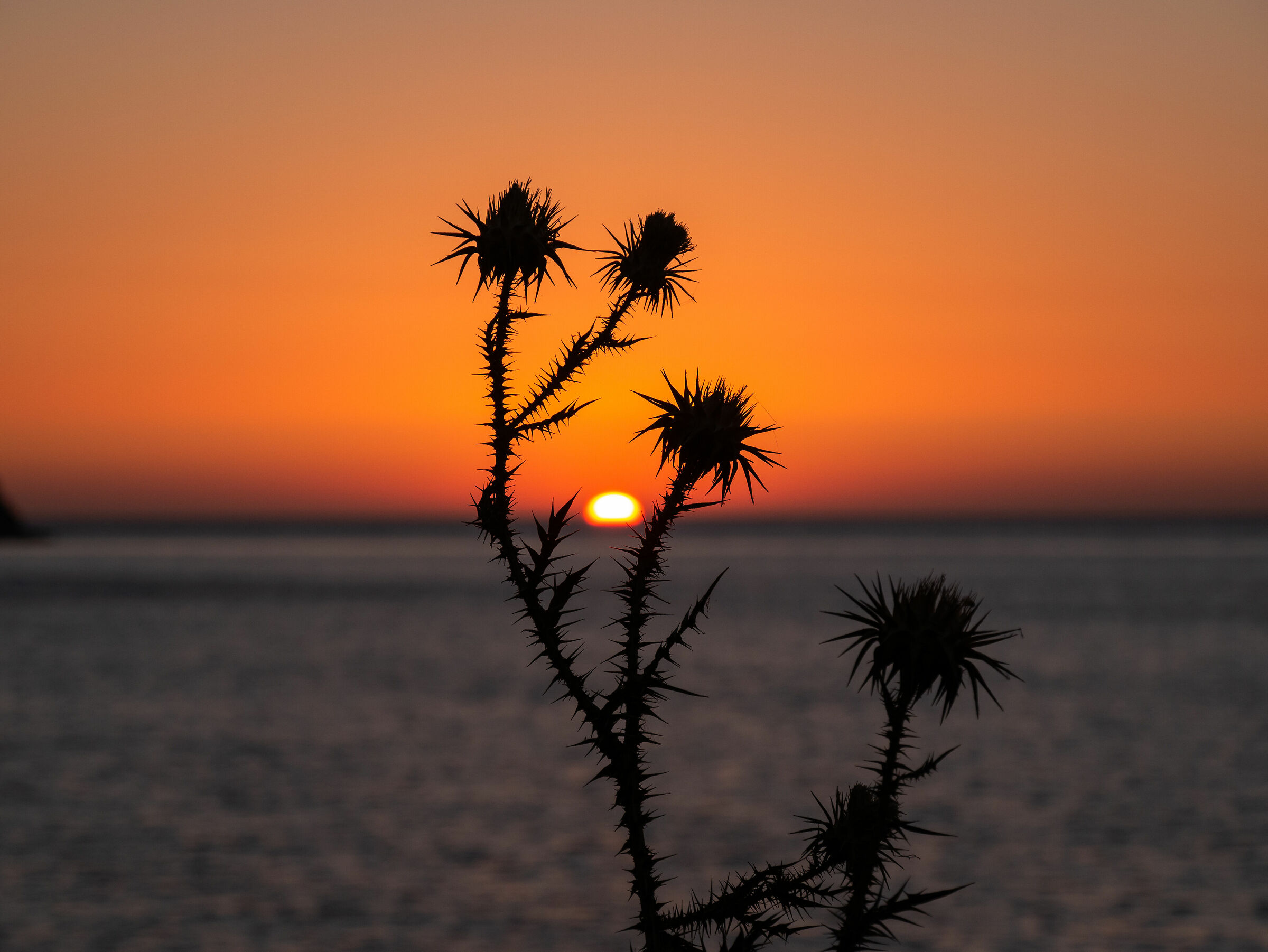 Sunrise - Tinos Island