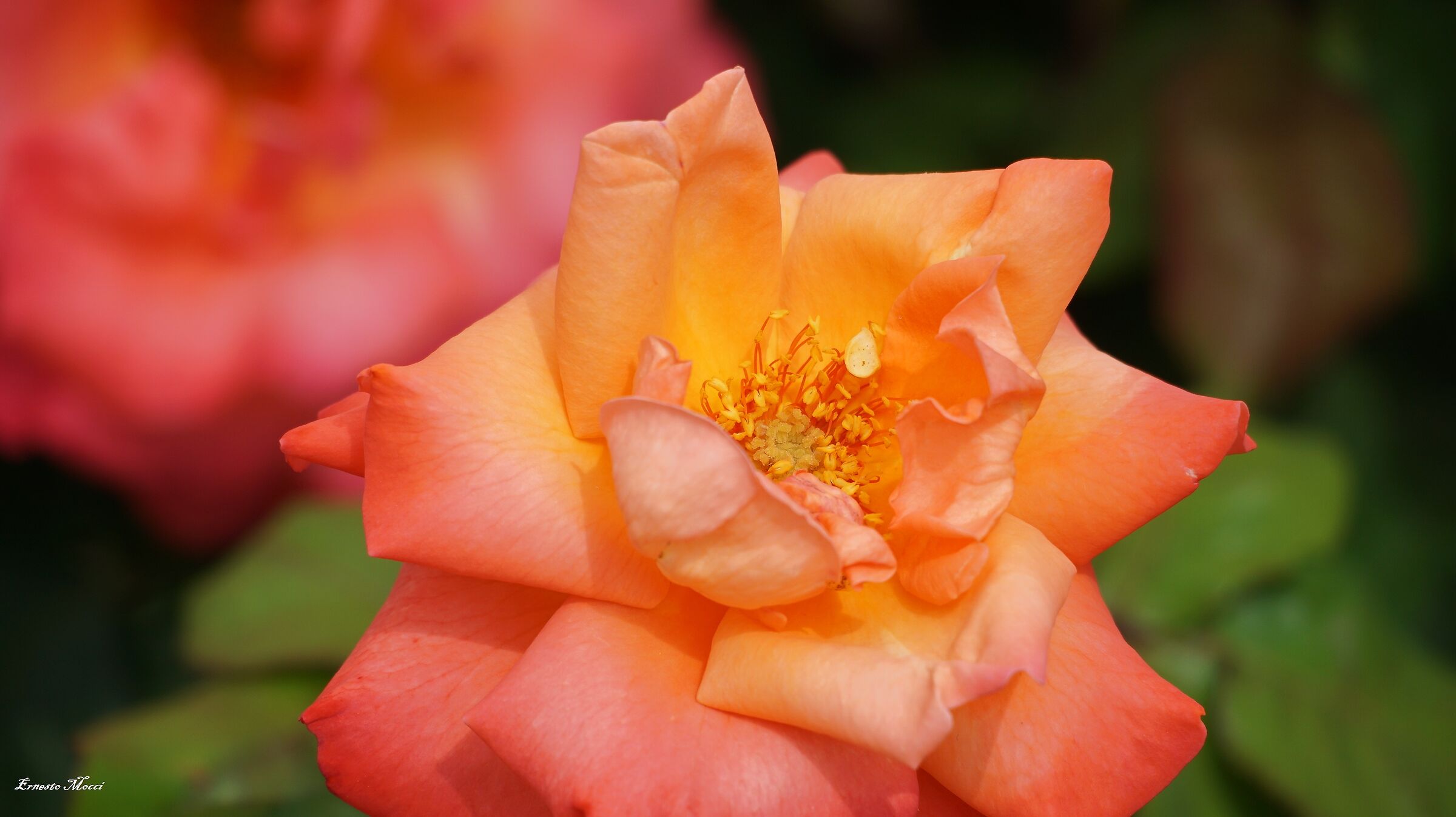 Intimo, Profondo, Segreto