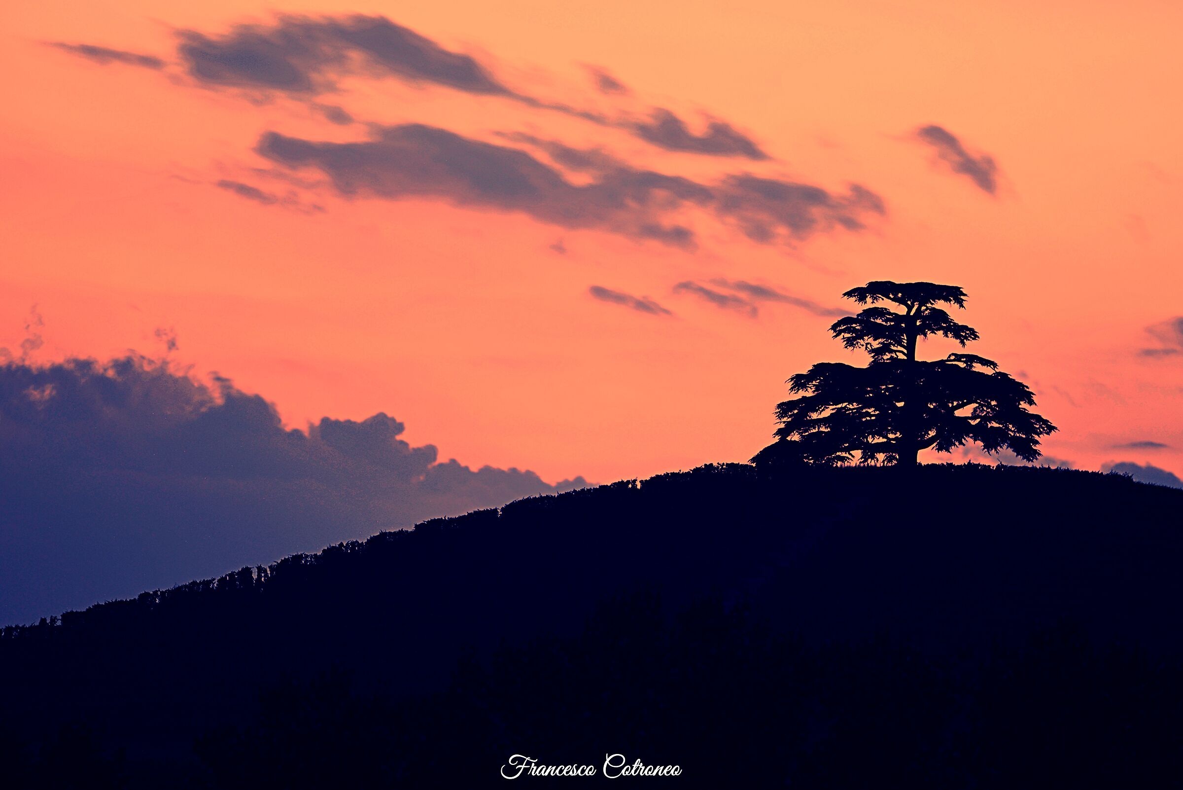 I believe in The Lebanese - La Morra