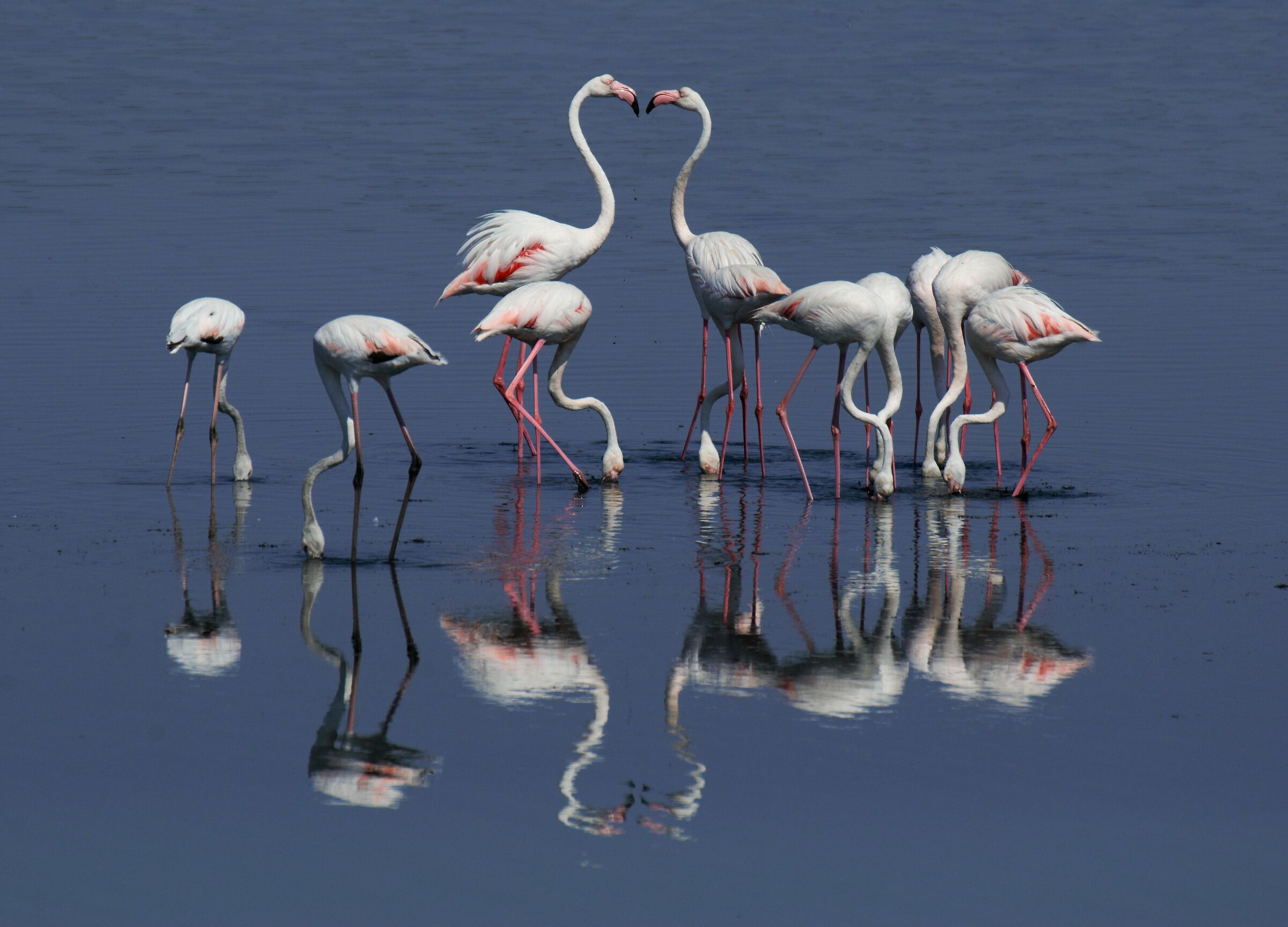 Il cuore delle Valli