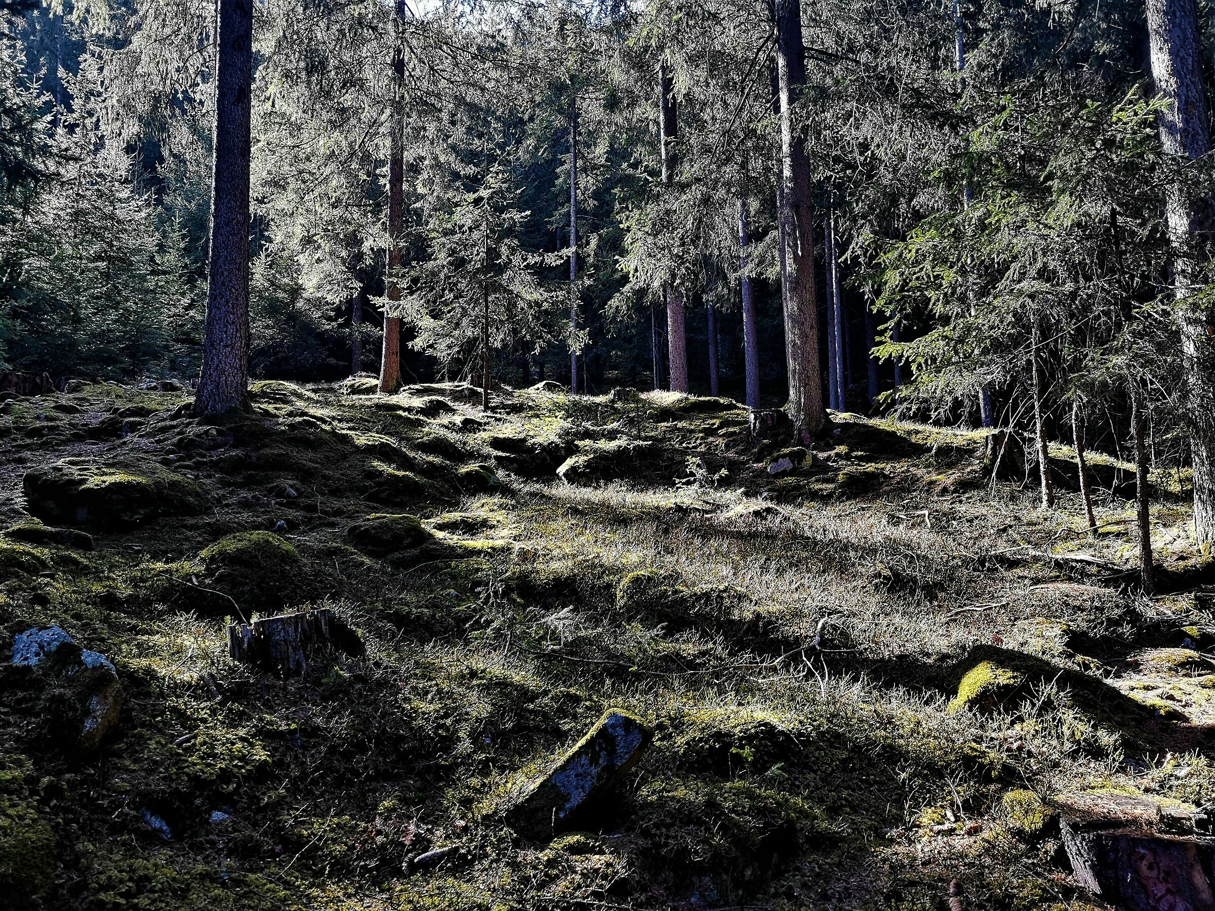 Lascia una luce accesa per la Gioia