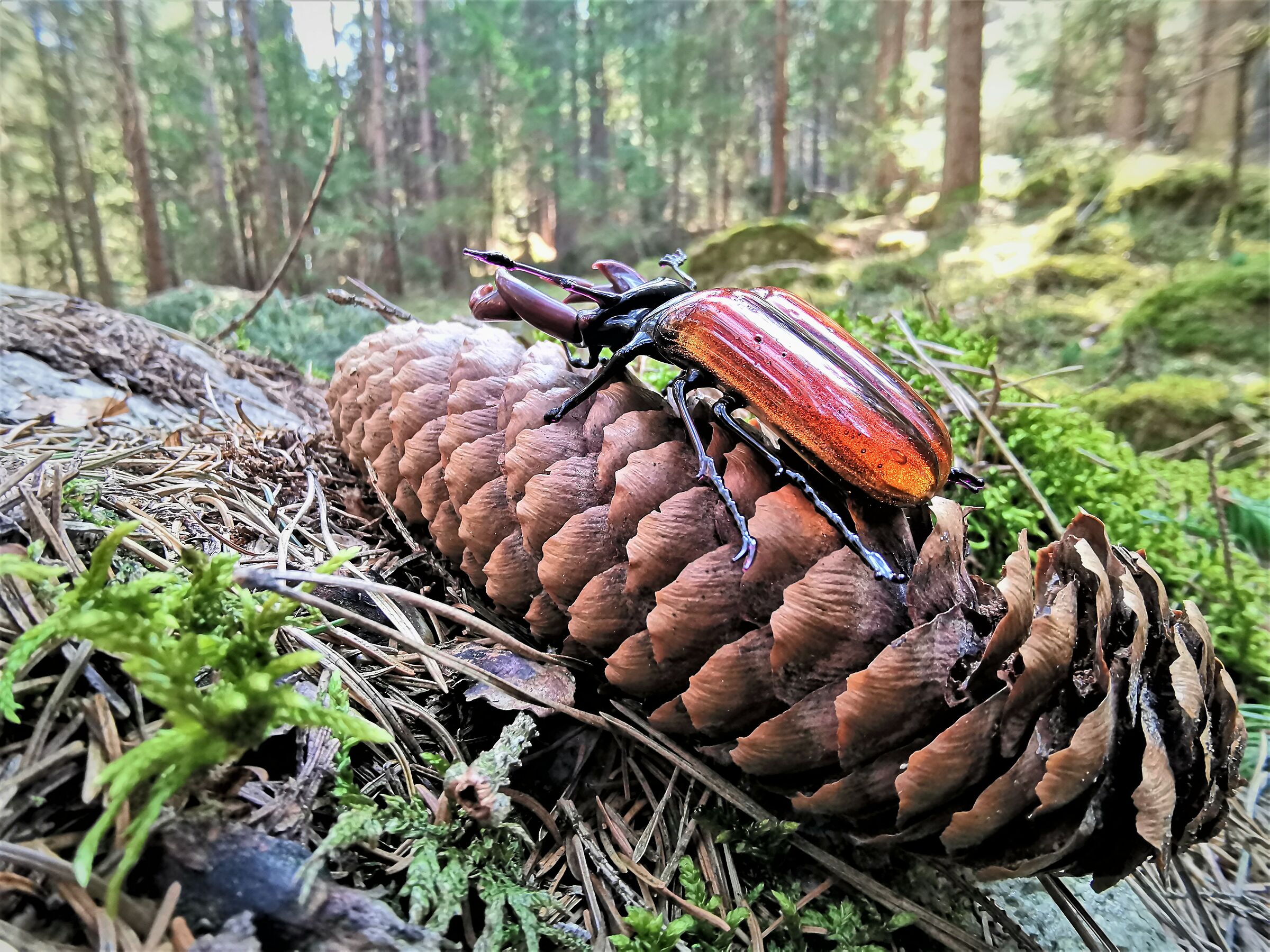 ---ported to get some air ---