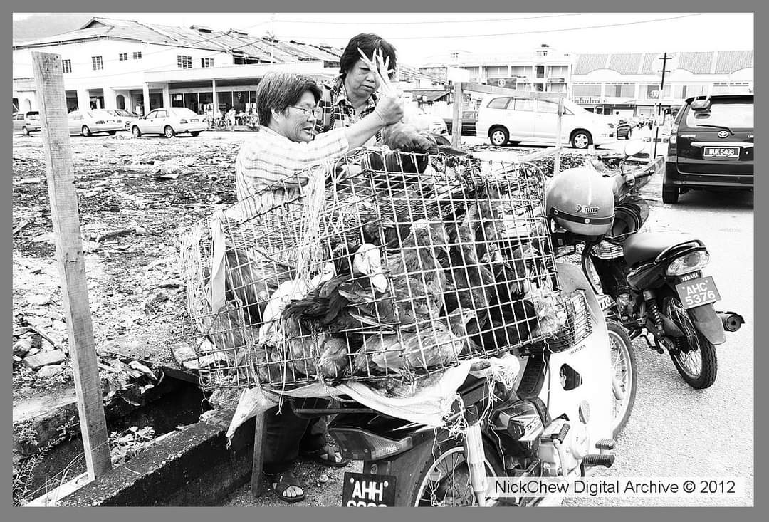 Venditore di pollame