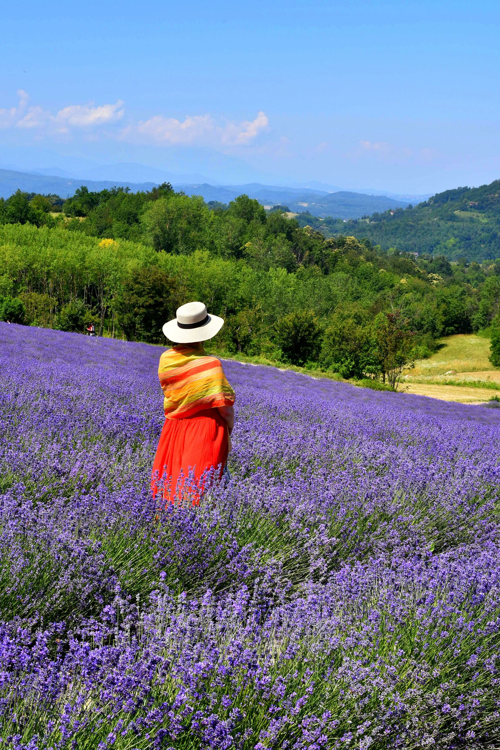 A passeggio nella lavanda