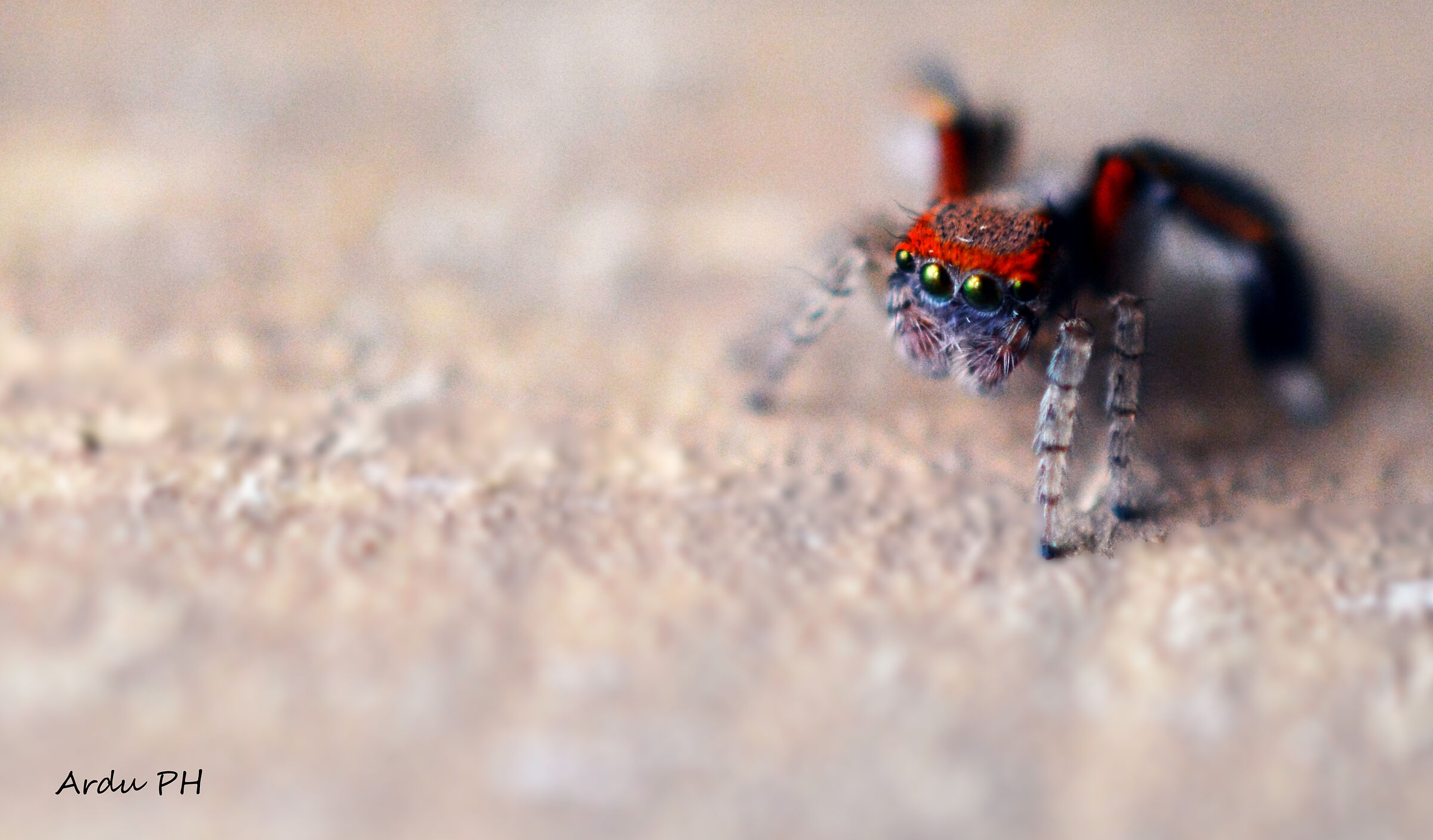 but what beautiful eyes you have!