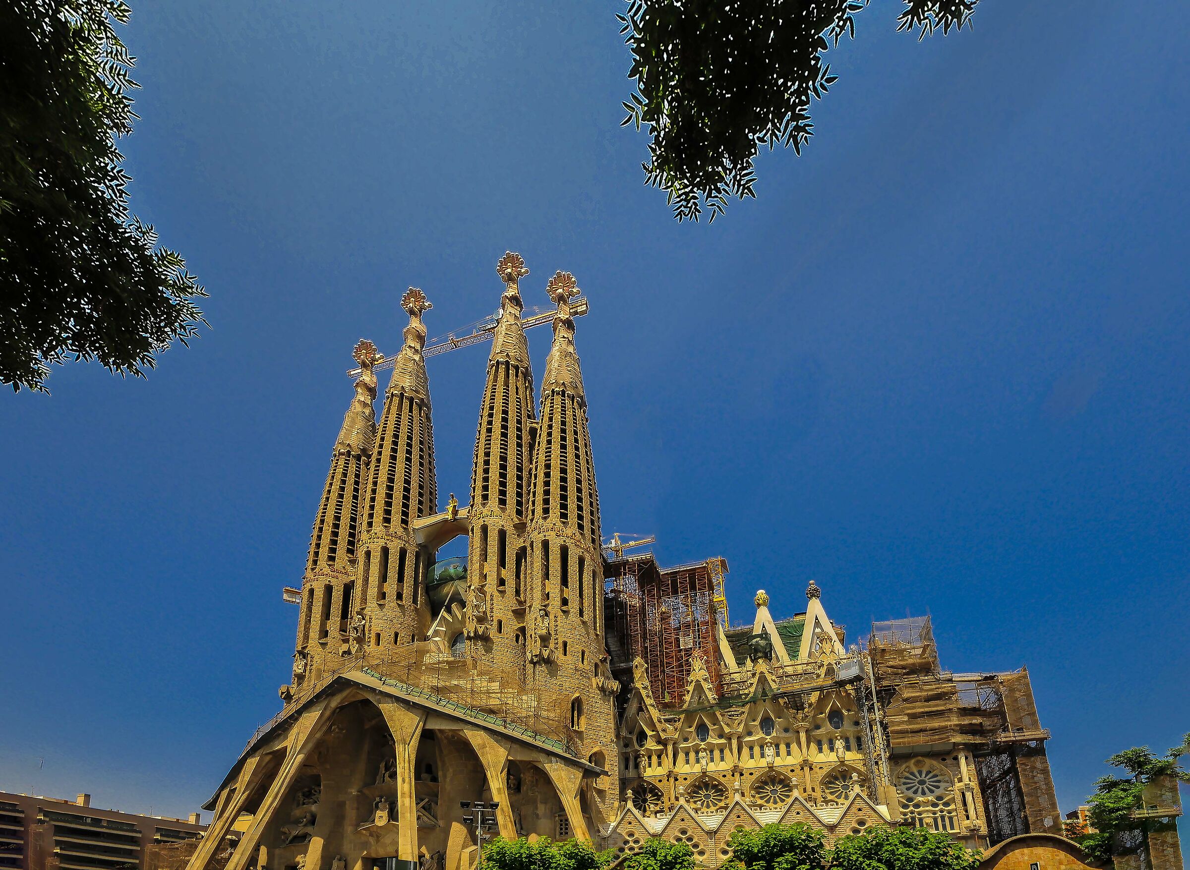 sacrada familia